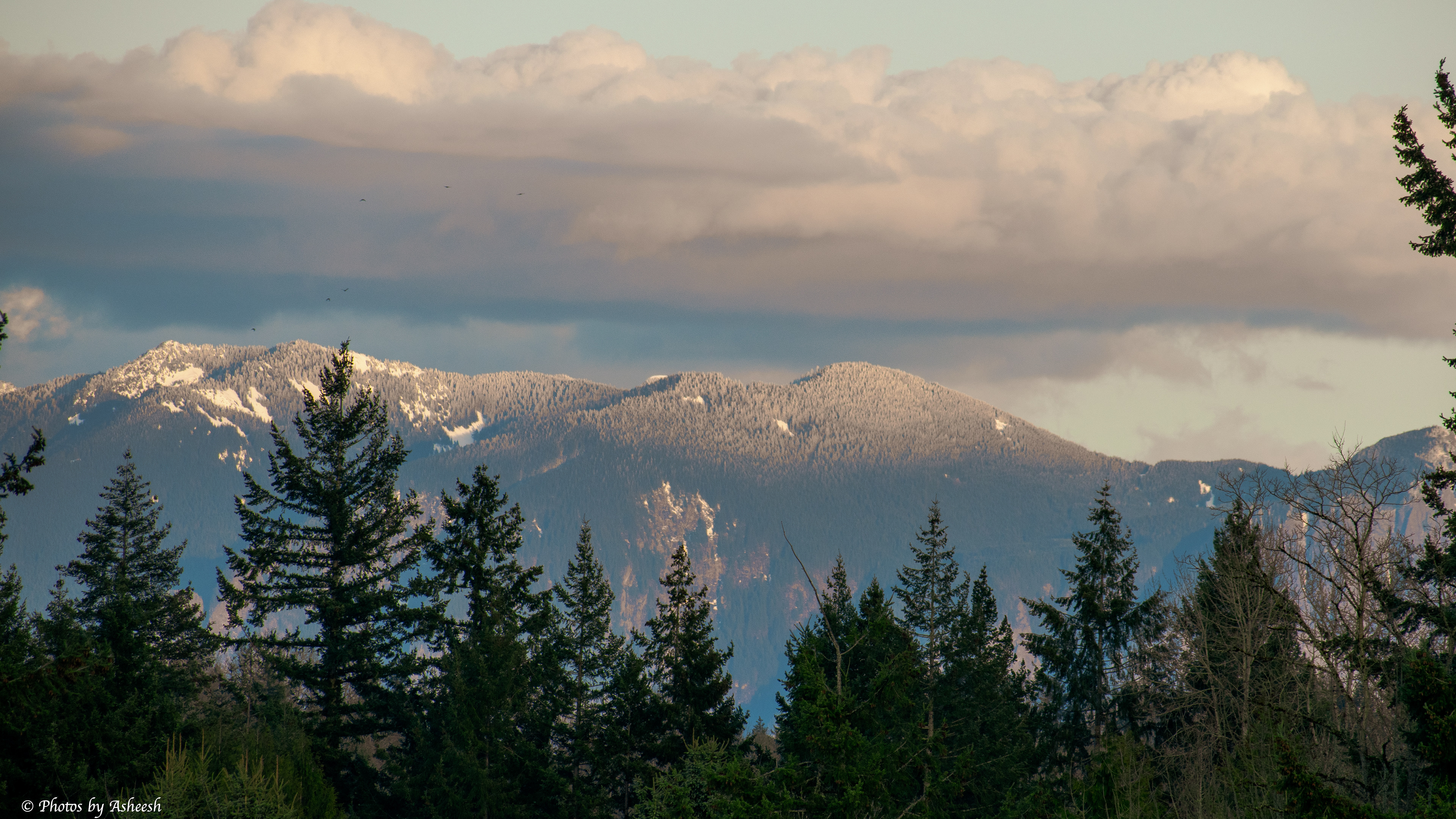 Evening light on the Cascades