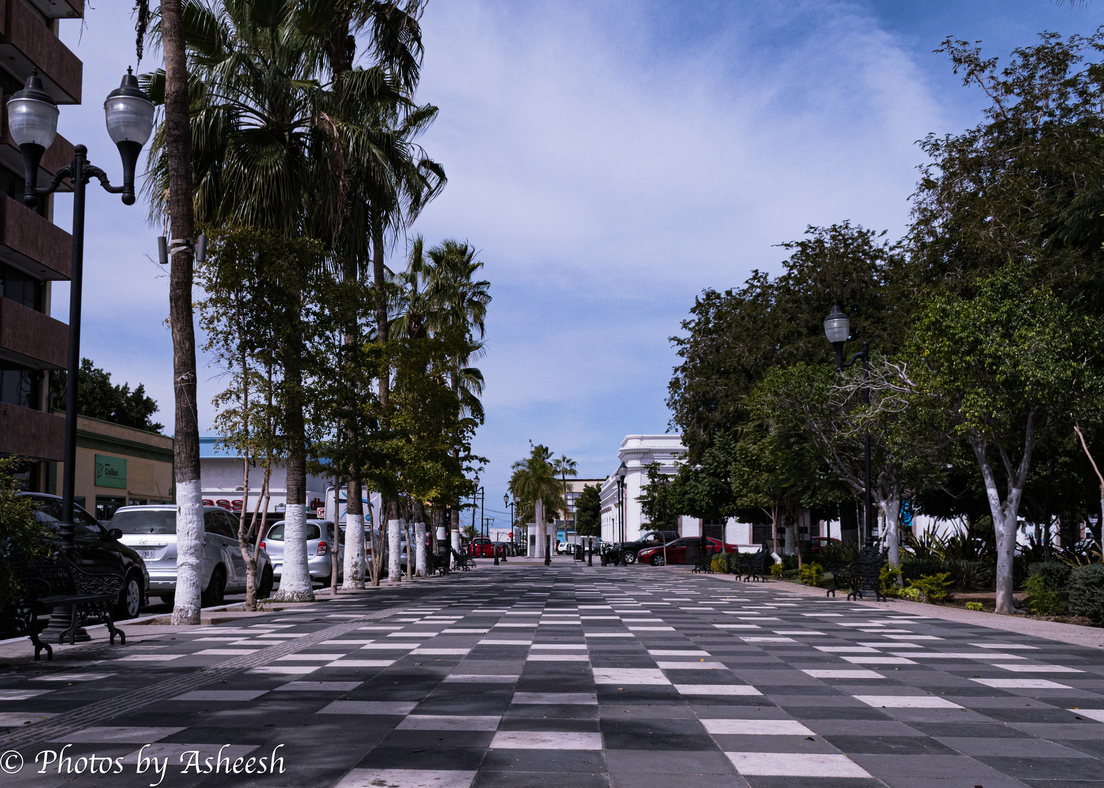 Jardin Velasco