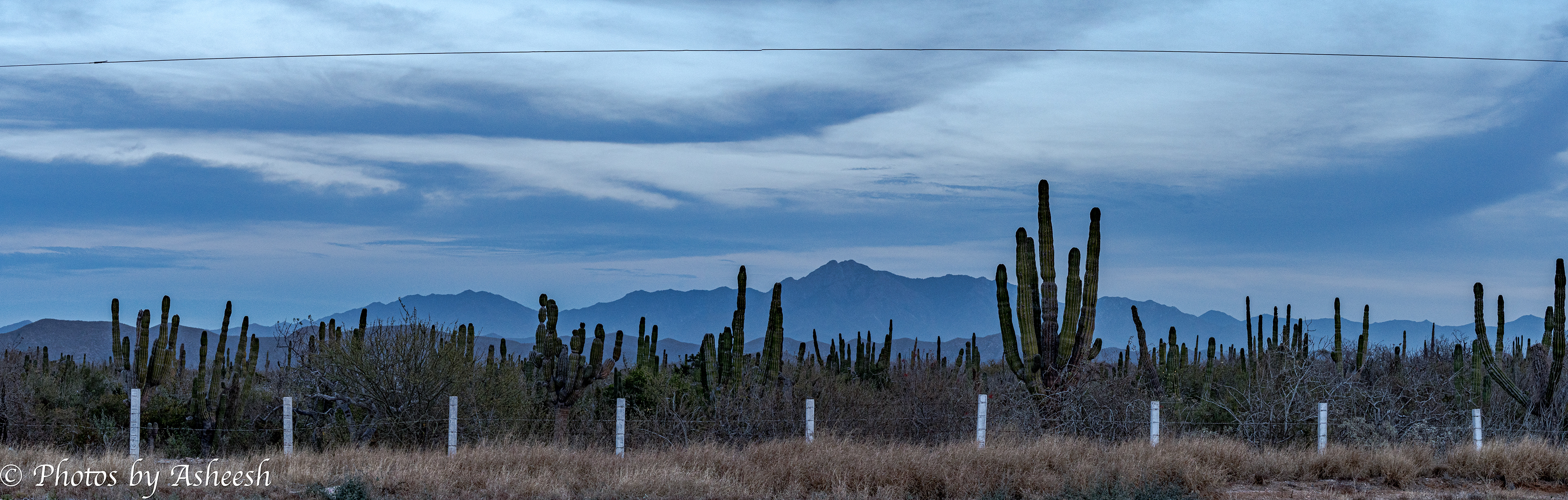Sierra de la Laguna