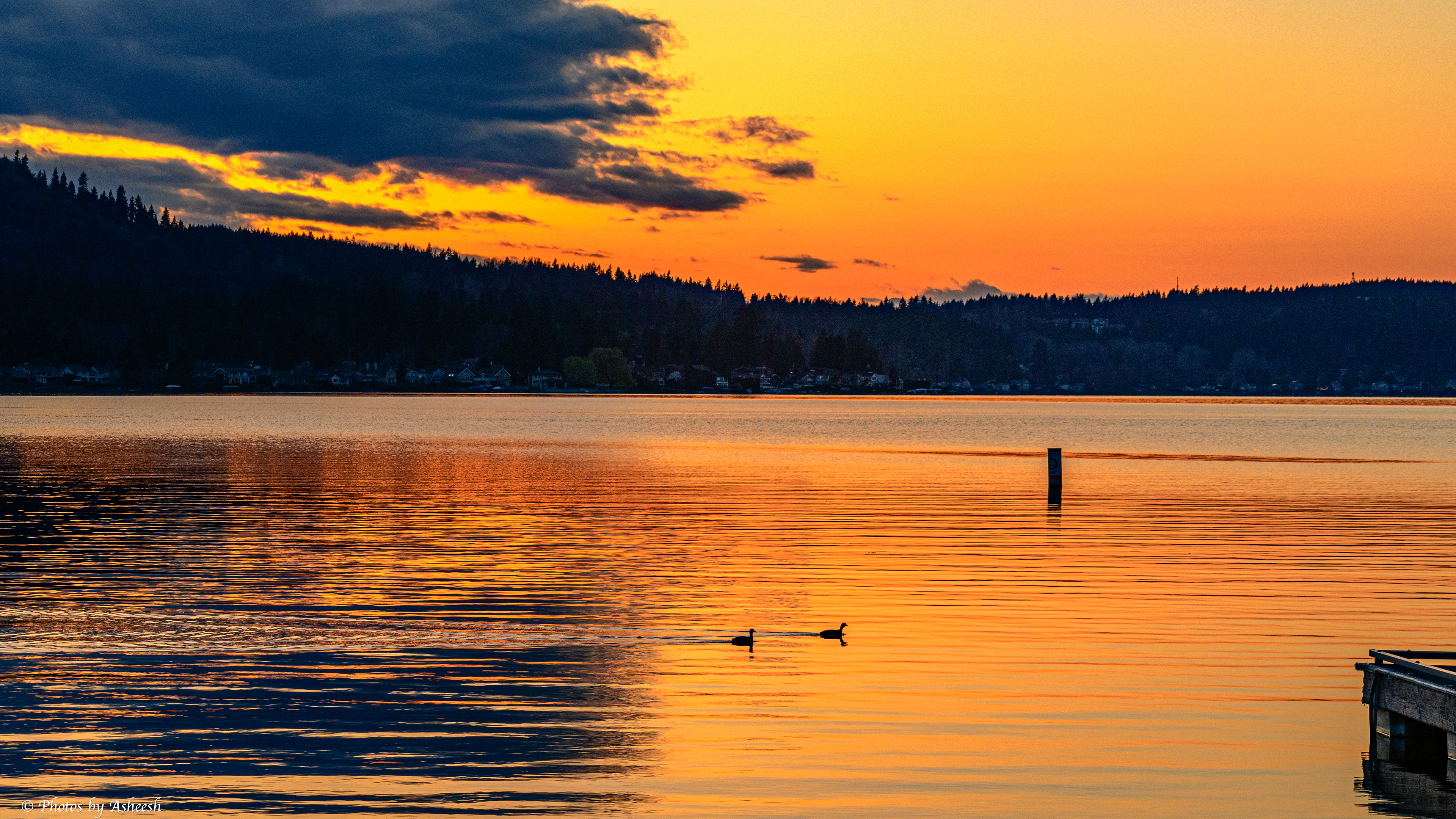 Sunset glow reflected in Lk. Sammamish