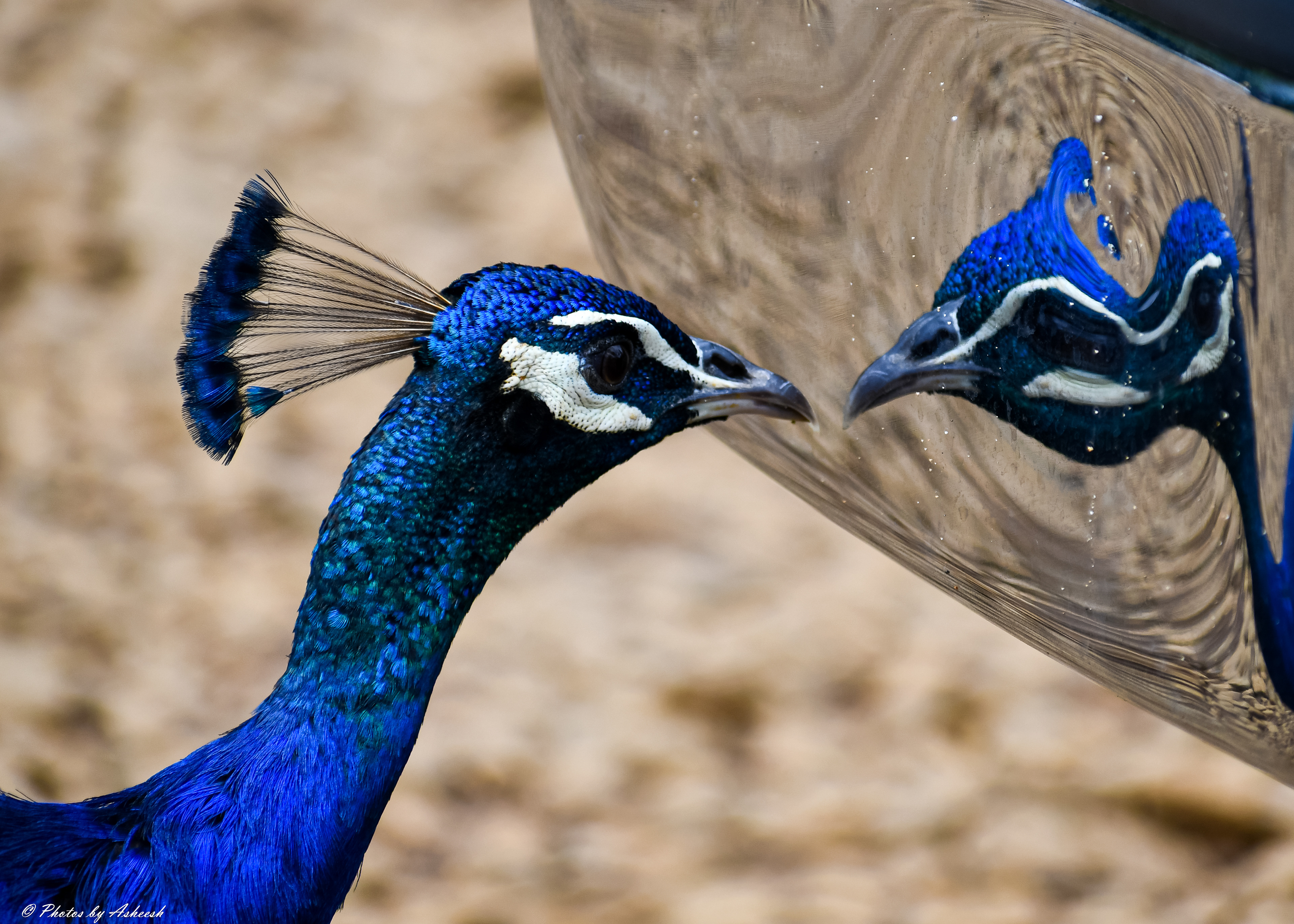 what are you looking at?