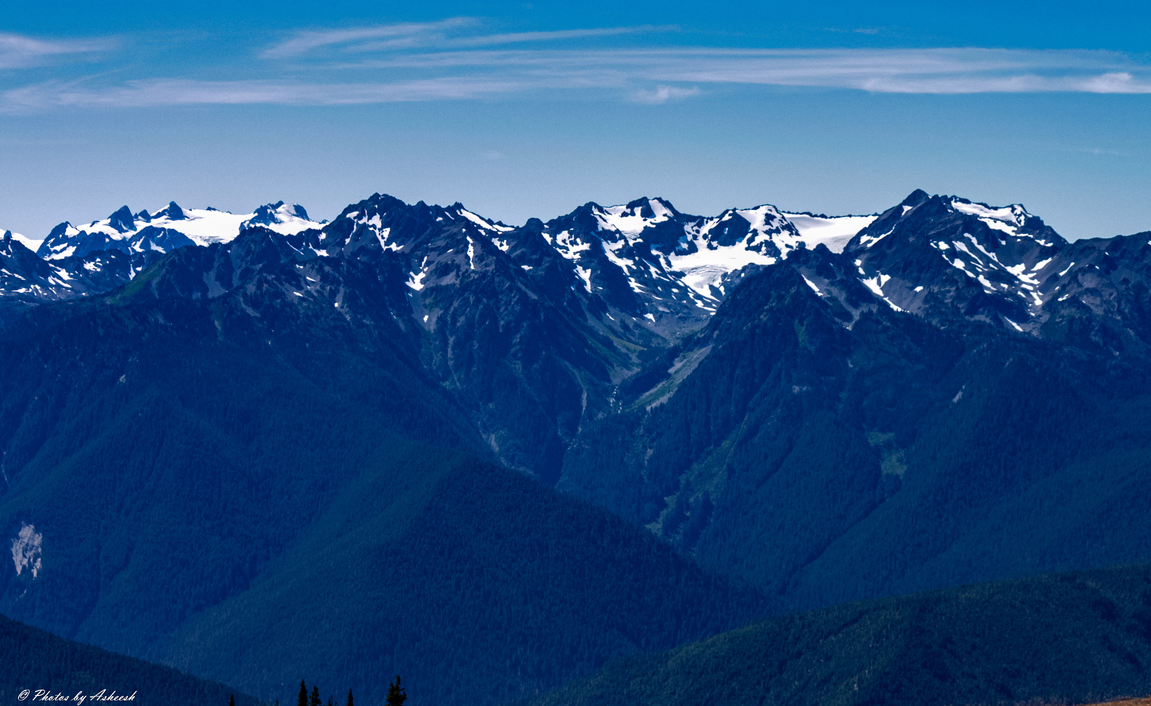Hurricane Ridge view of snow capped mountains & glaciers