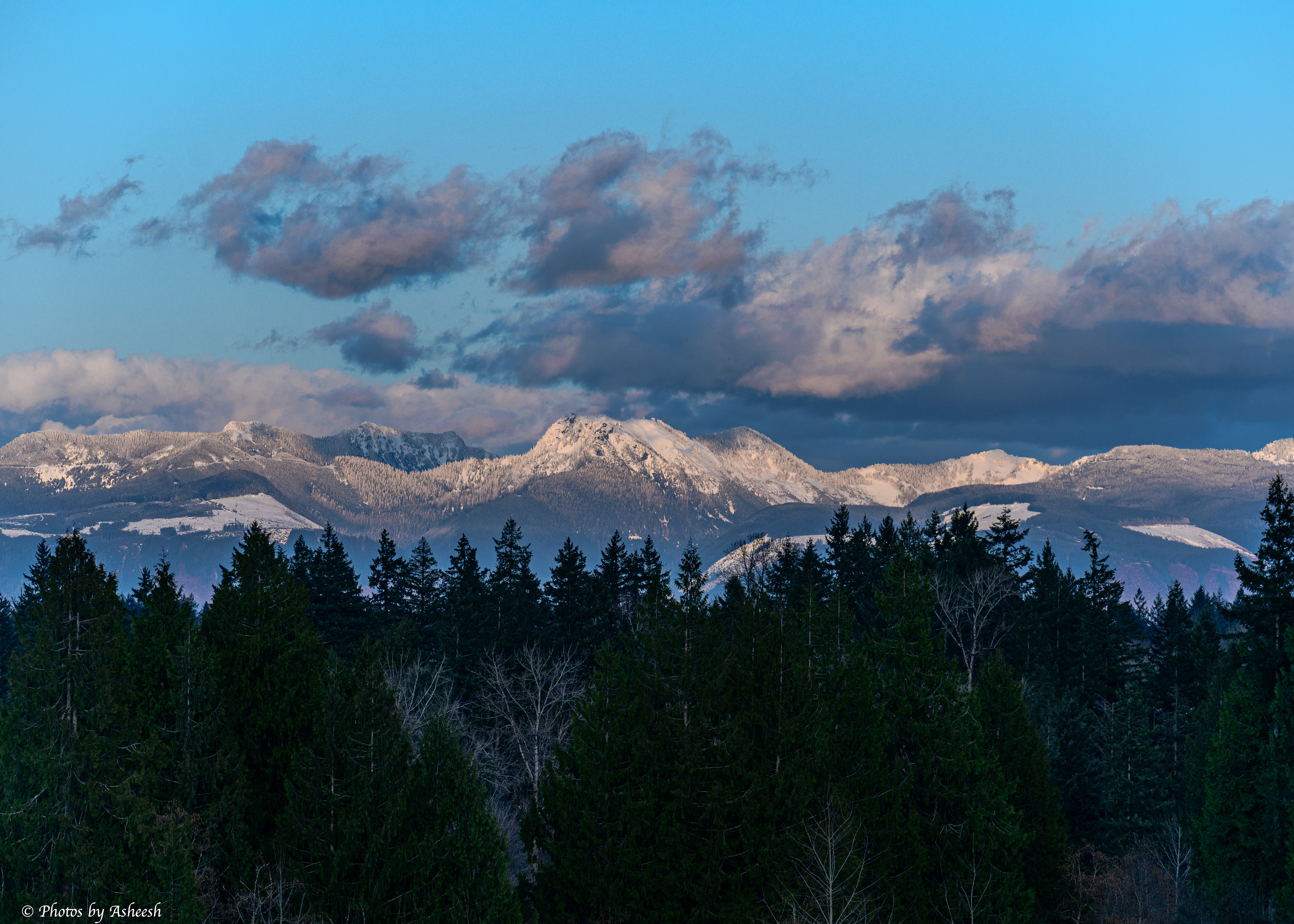 Evening light on the cascades