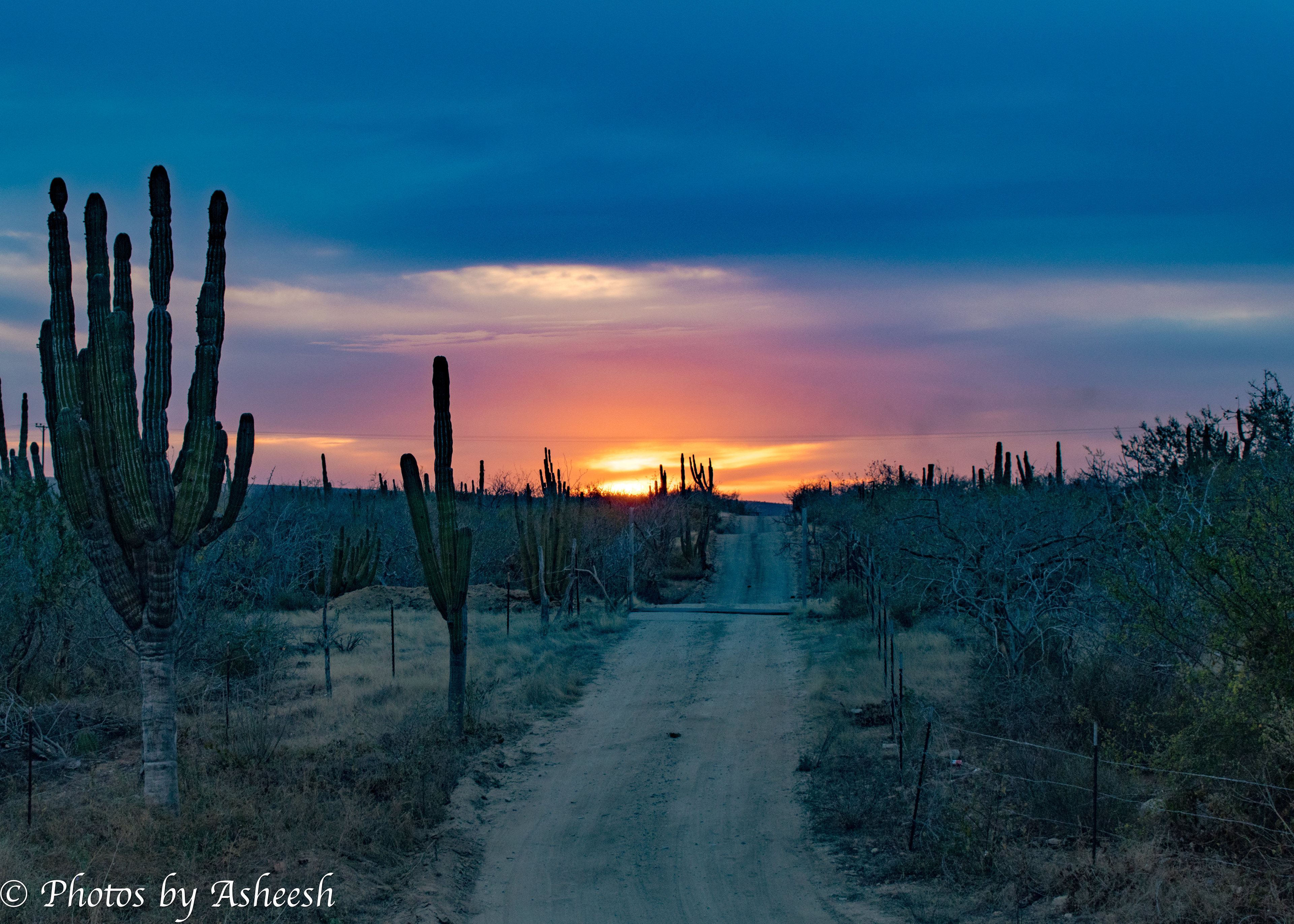 Sunset Over Baja California Desert
