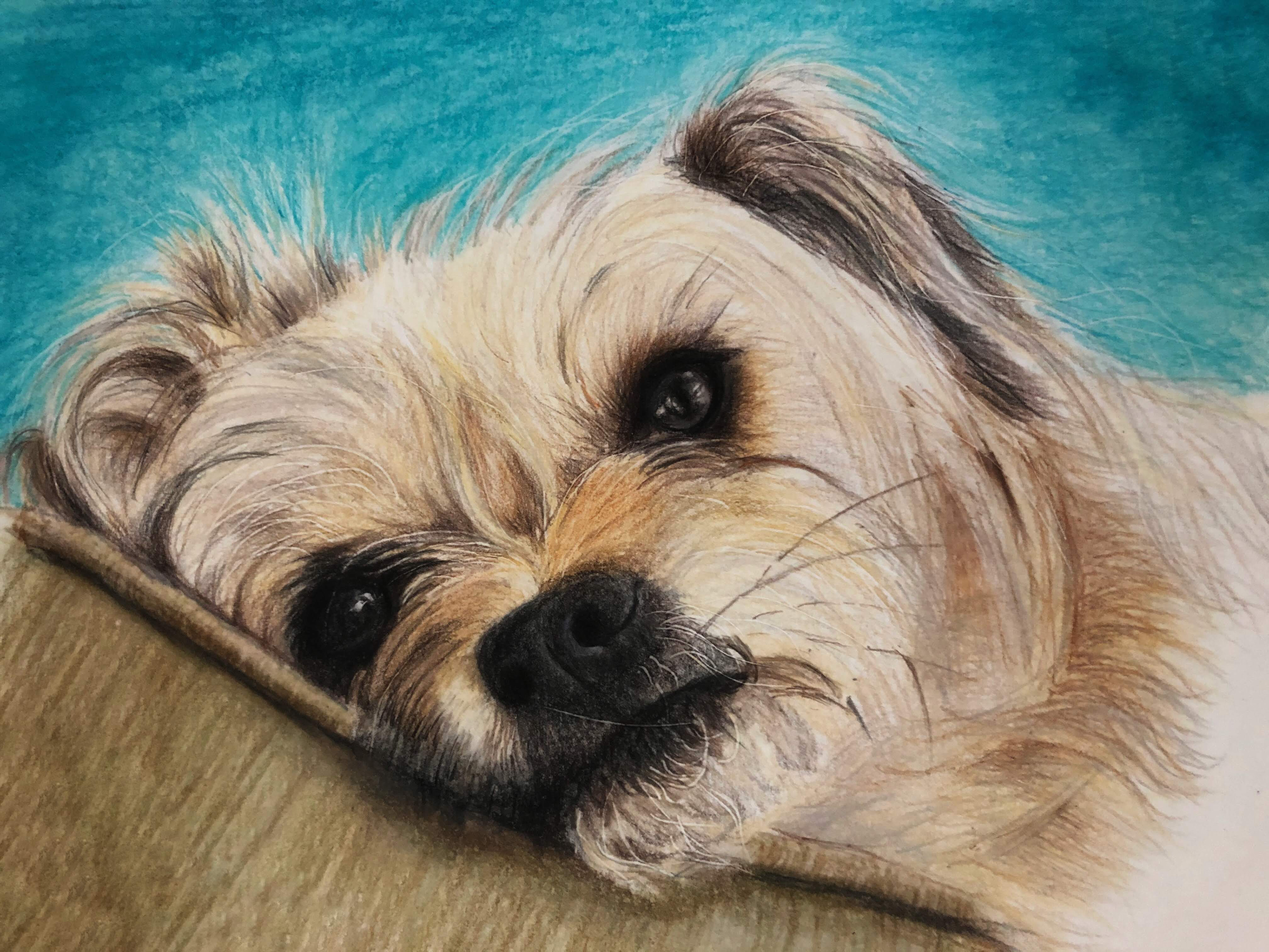 colored pencil