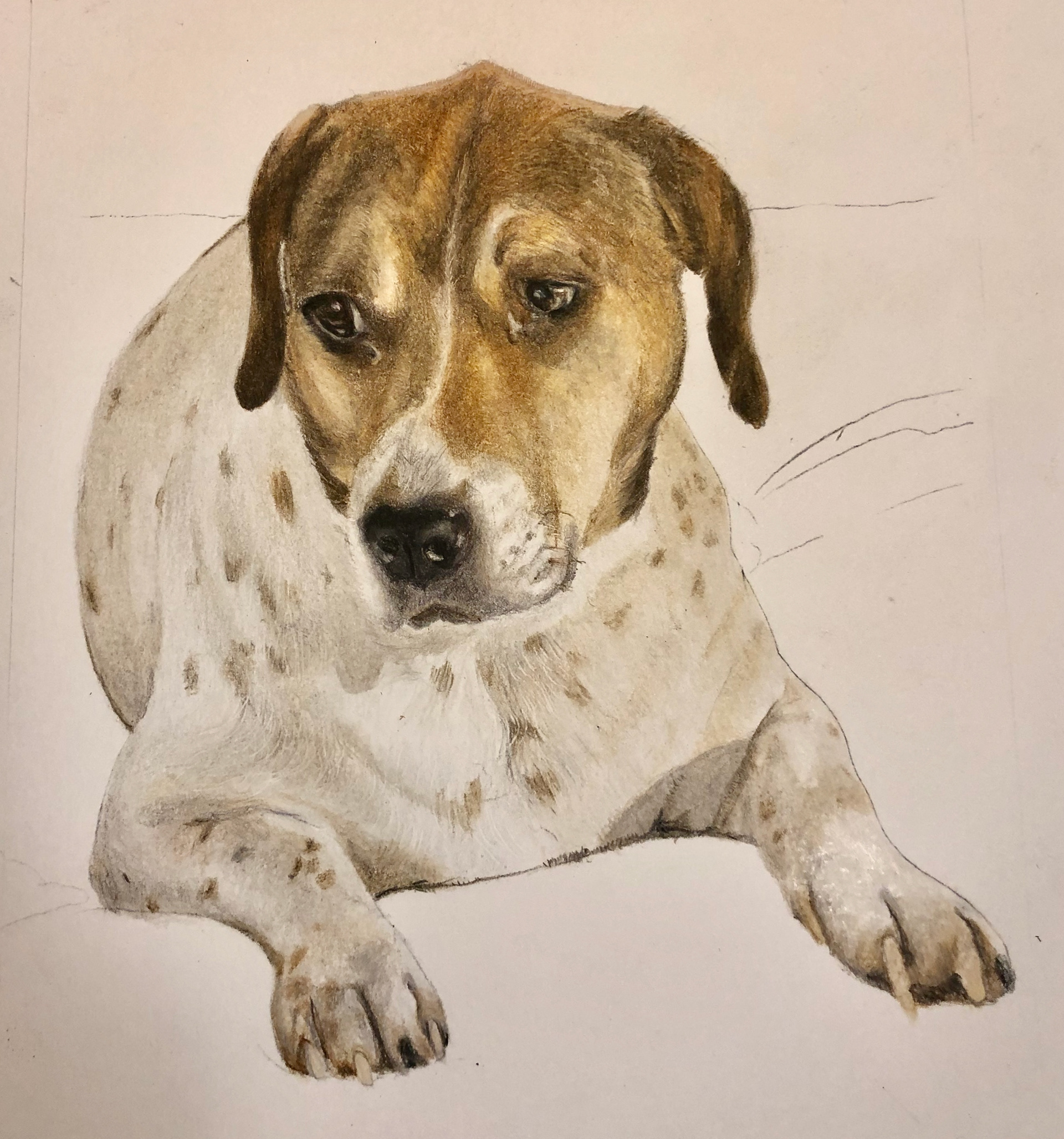 Colored Pencil