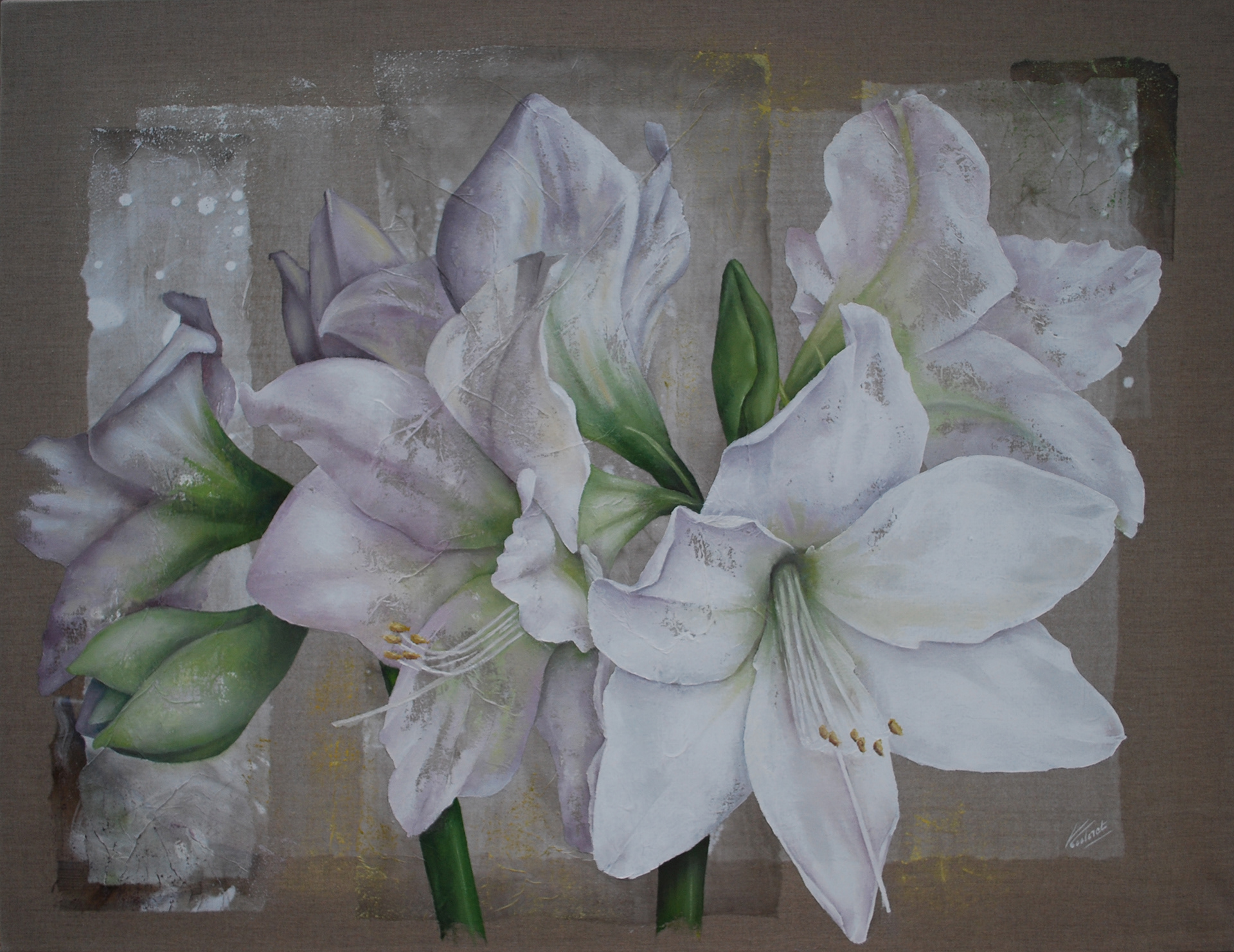 Amaryllis Blanc I - Format 50F (89x116 cm)