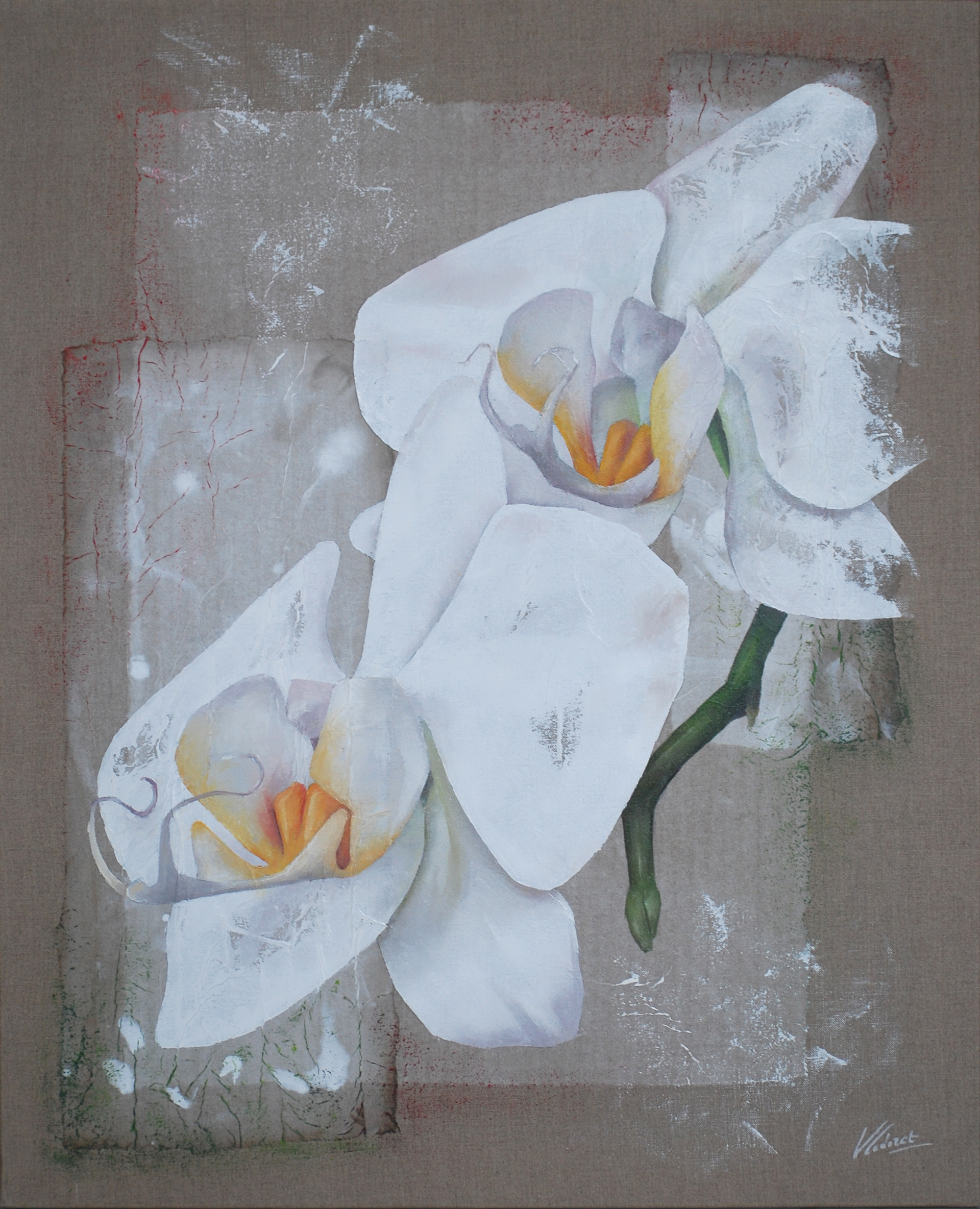 Orchidée IXX - Format 15F (65x54 cm)