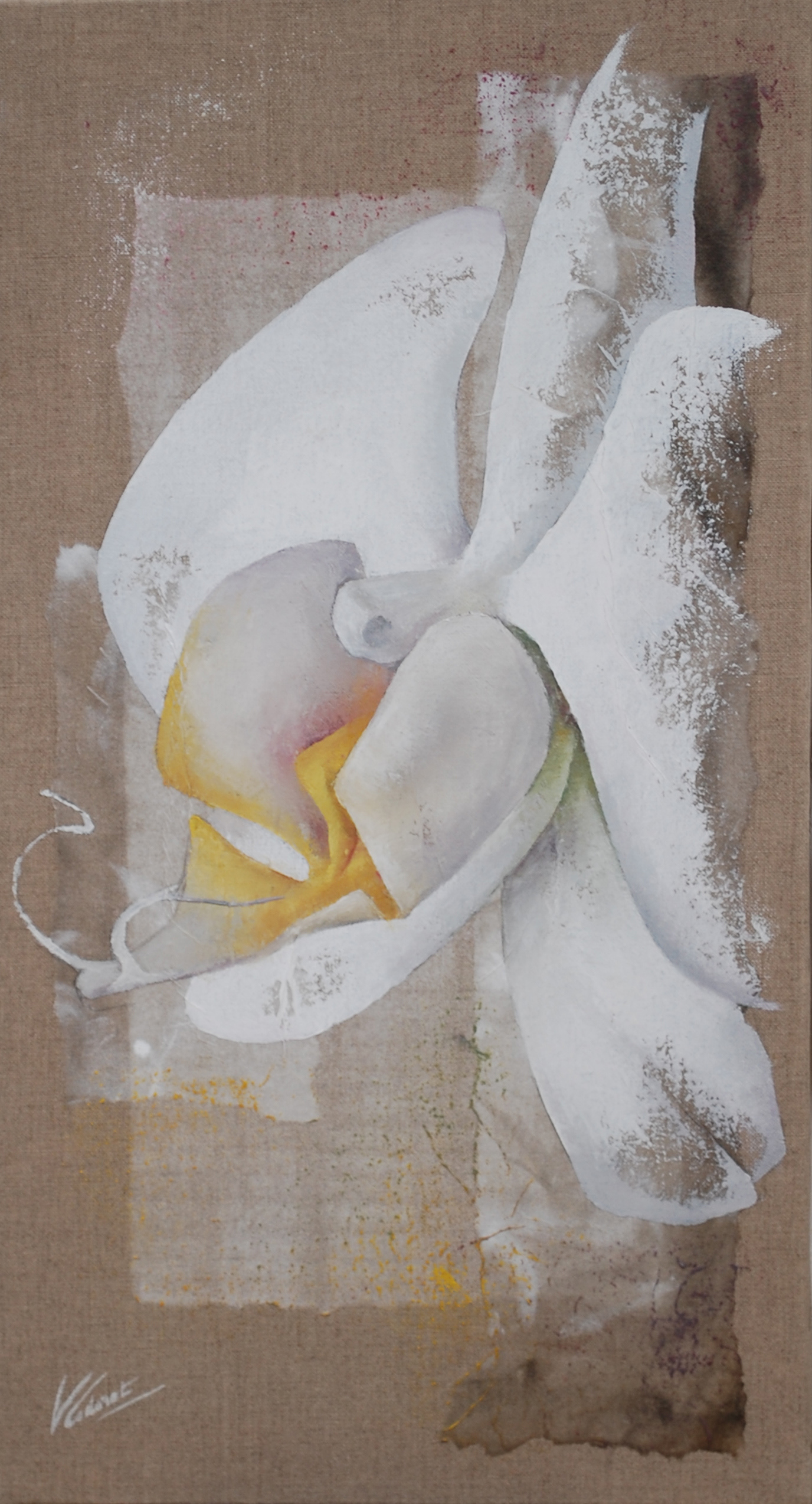 Orchidée XX - Format 60x30 cm