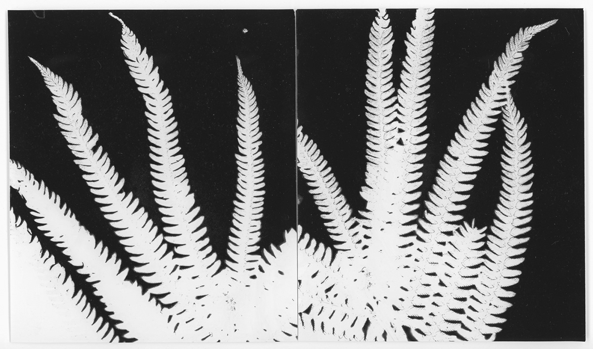 Meghan Duda A Gift of Good Land