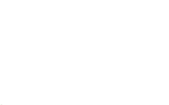 Rhilip Light