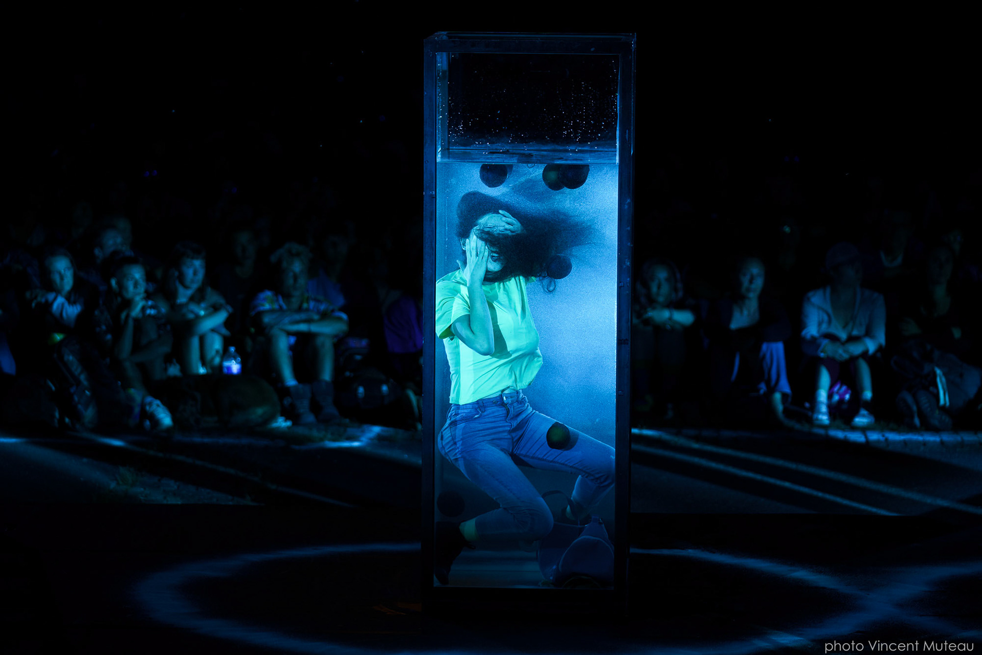 Elephants Laugh_MULJIL