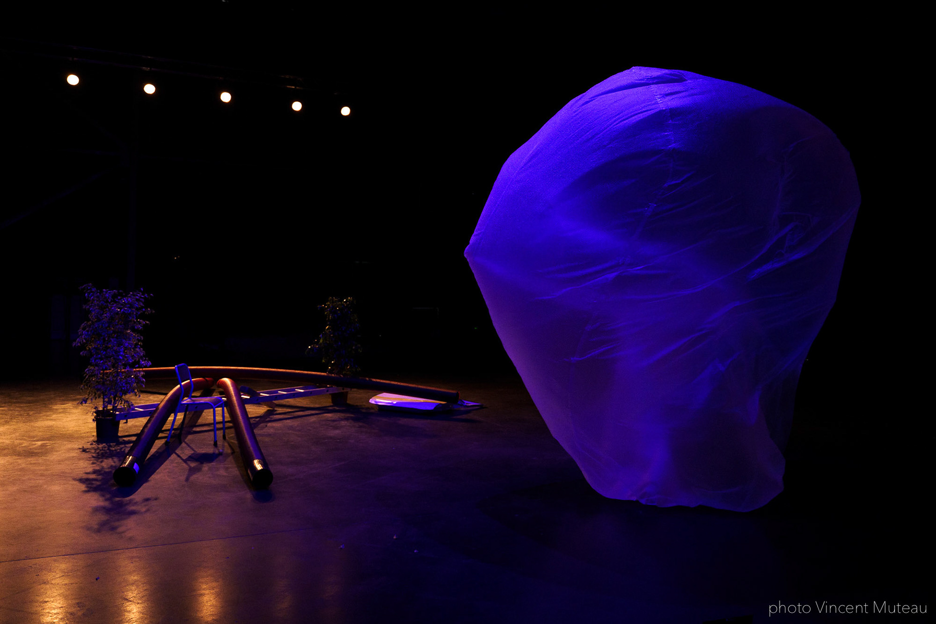 Renato Linhares Má-Criação_SHAMPOO