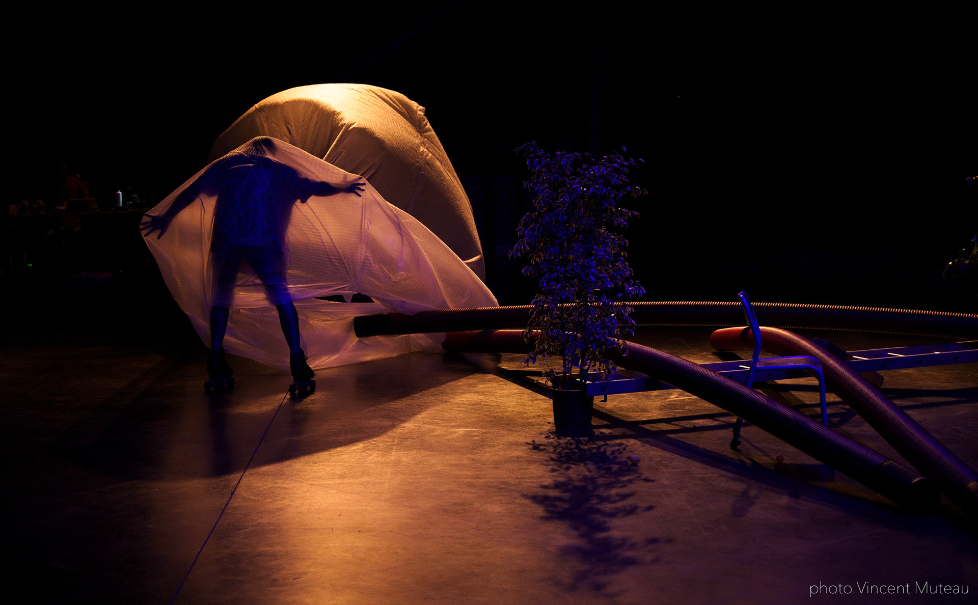 Renato Linhares Má-Criação_SHAMPOO