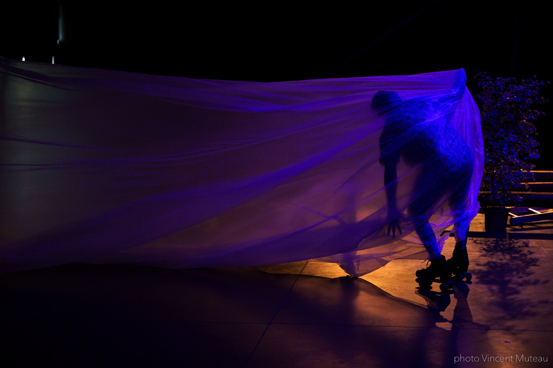 Renato Linhares Má-Criação_SHAMPOO