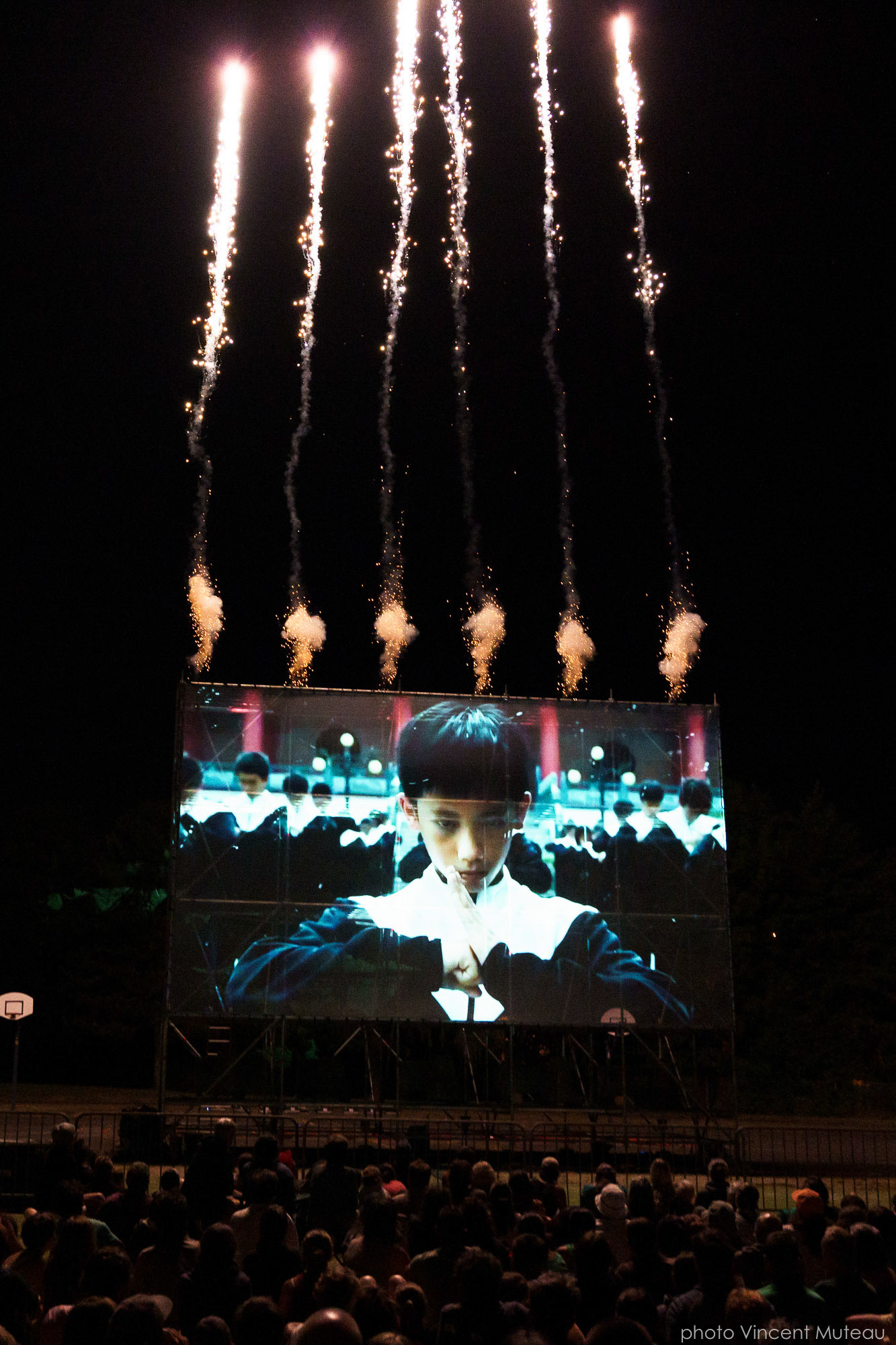 PAL/SECAM_Combustion