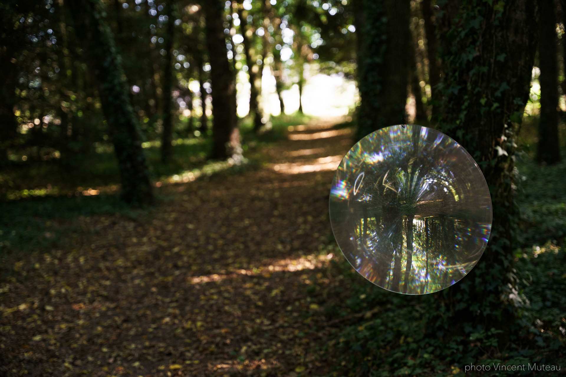 Vânia Vaneau Arrangement Provisoire_Nebula