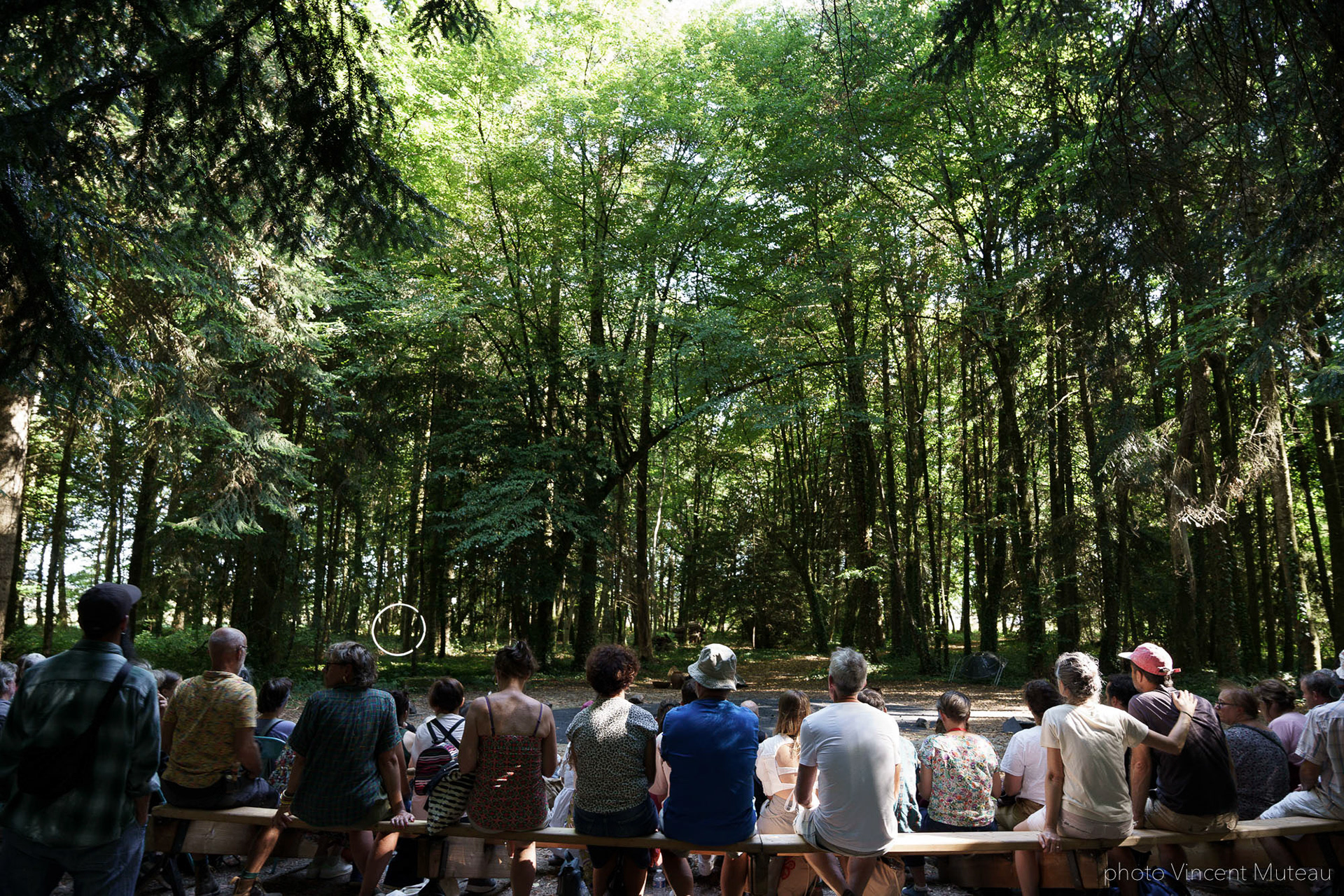 Vânia Vaneau Arrangement Provisoire_Nebula