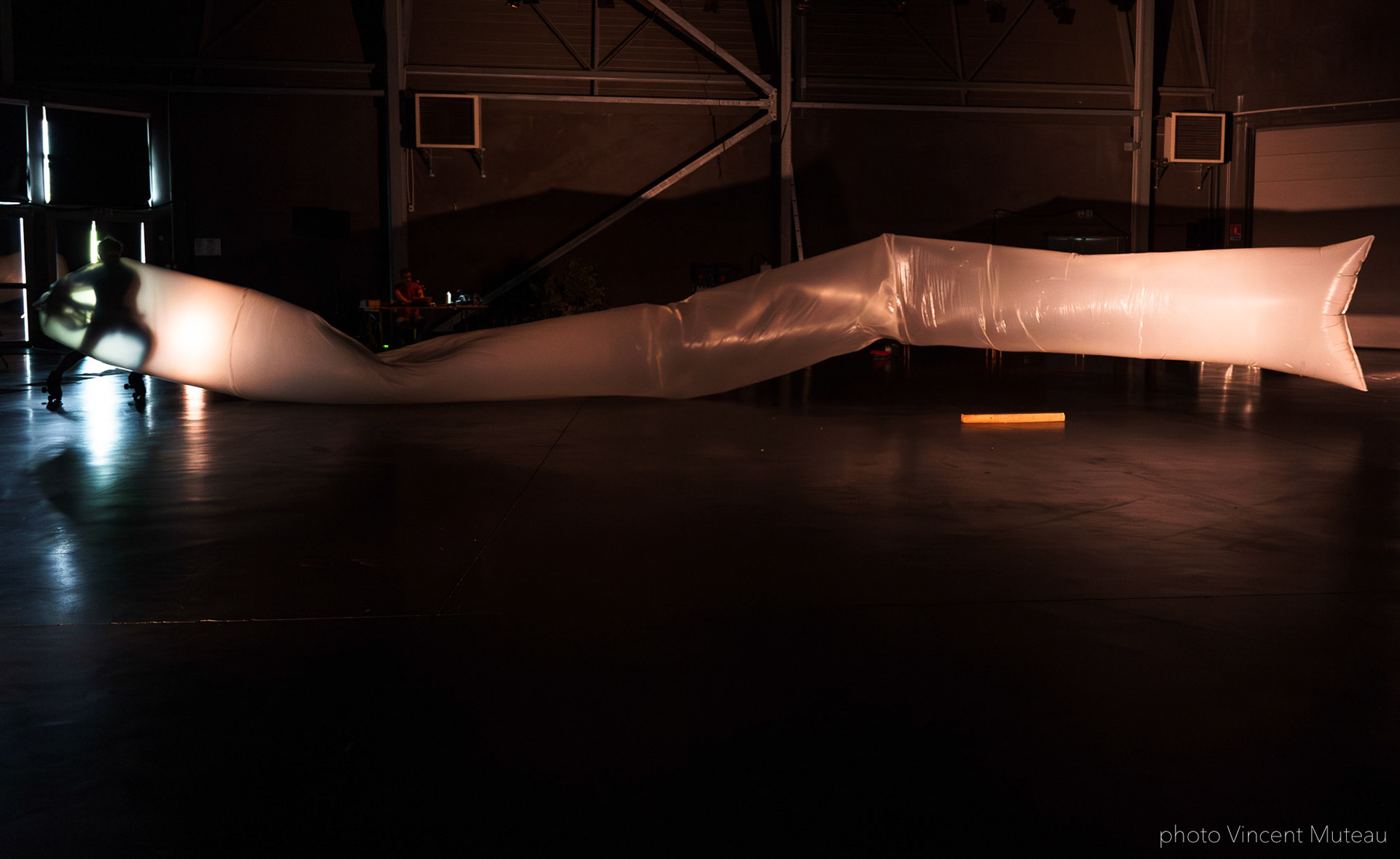 Renato Linhares Má-Criação_SHAMPOO