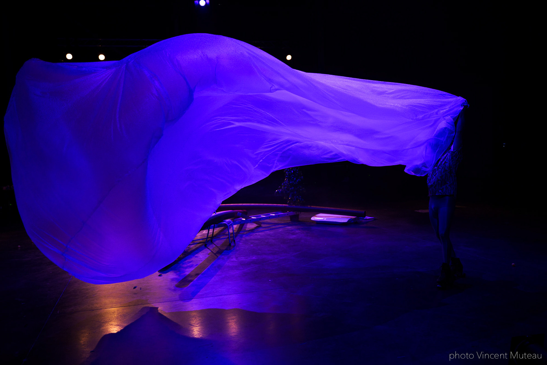 Renato Linhares Má-Criação_SHAMPOO