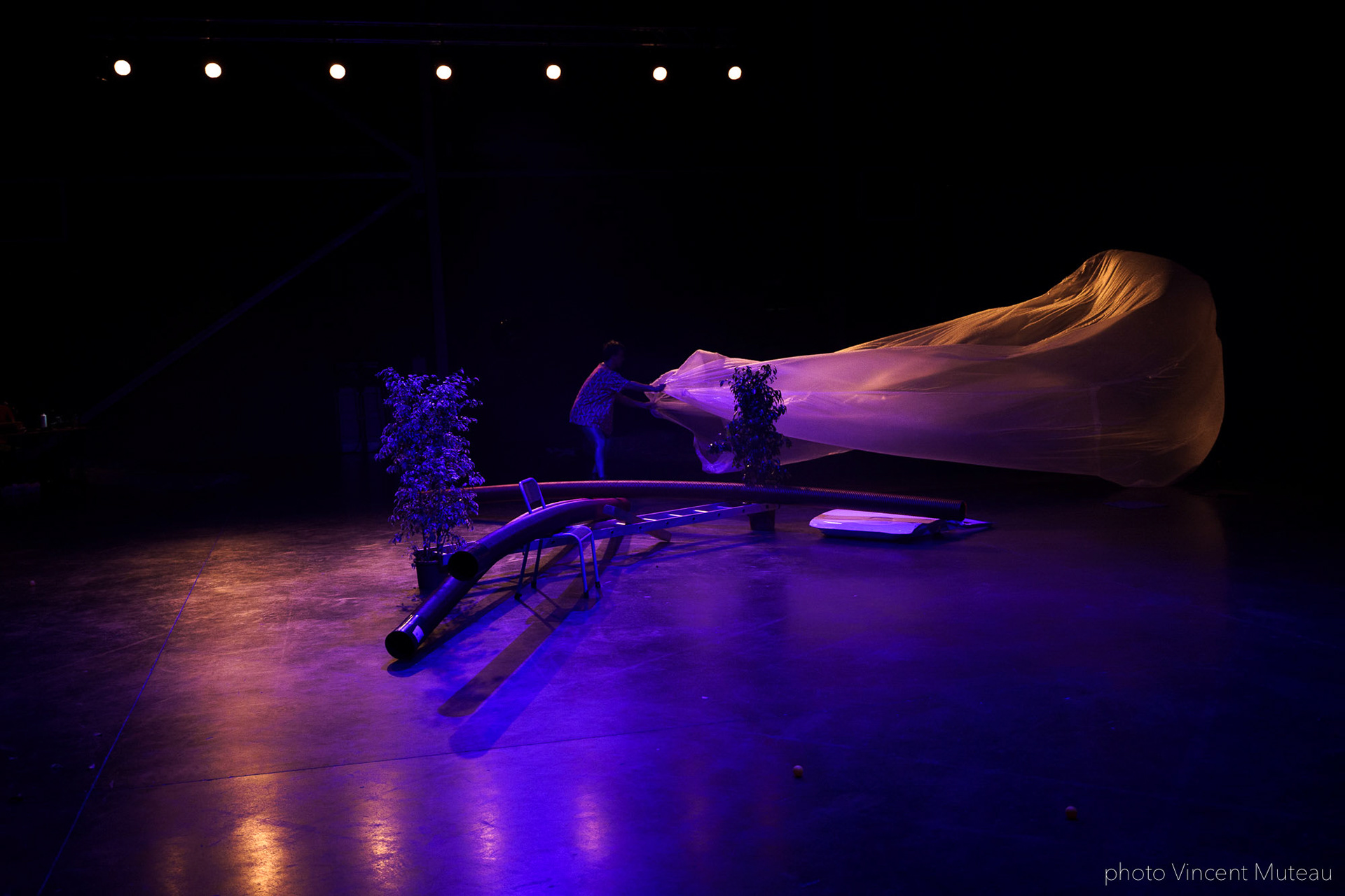 Renato Linhares Má-Criação_SHAMPOO