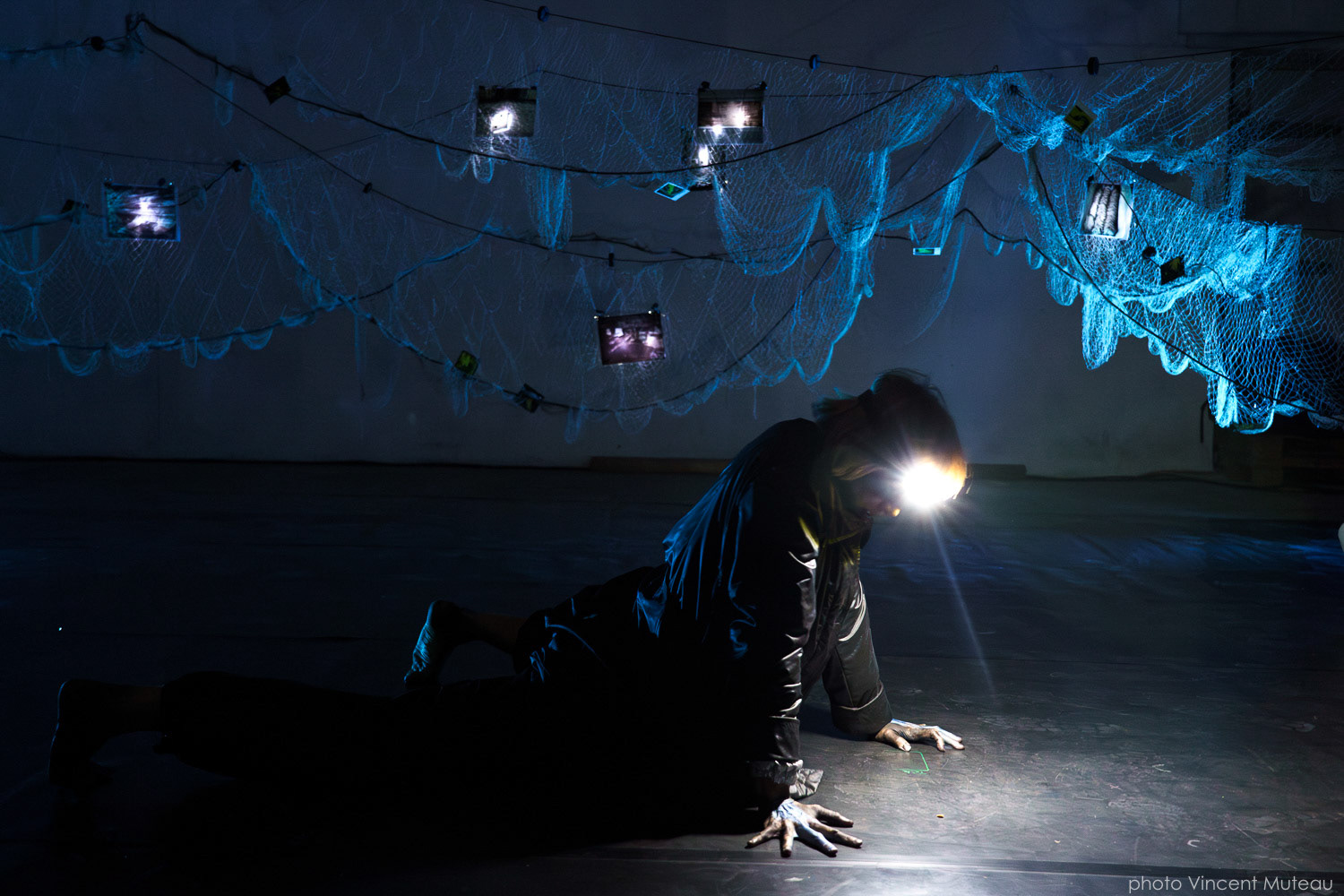 Juana Ortega Kippes_Amphibian matter