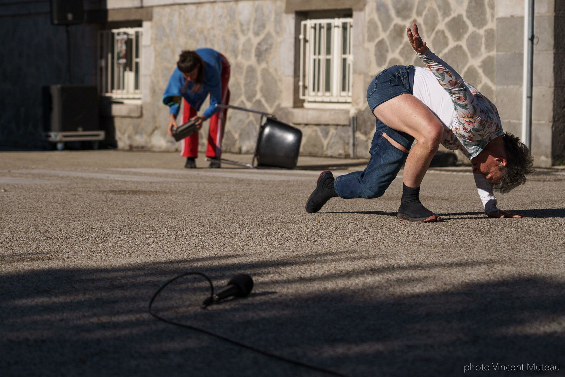 JEANNE SIMONE_Animal travail