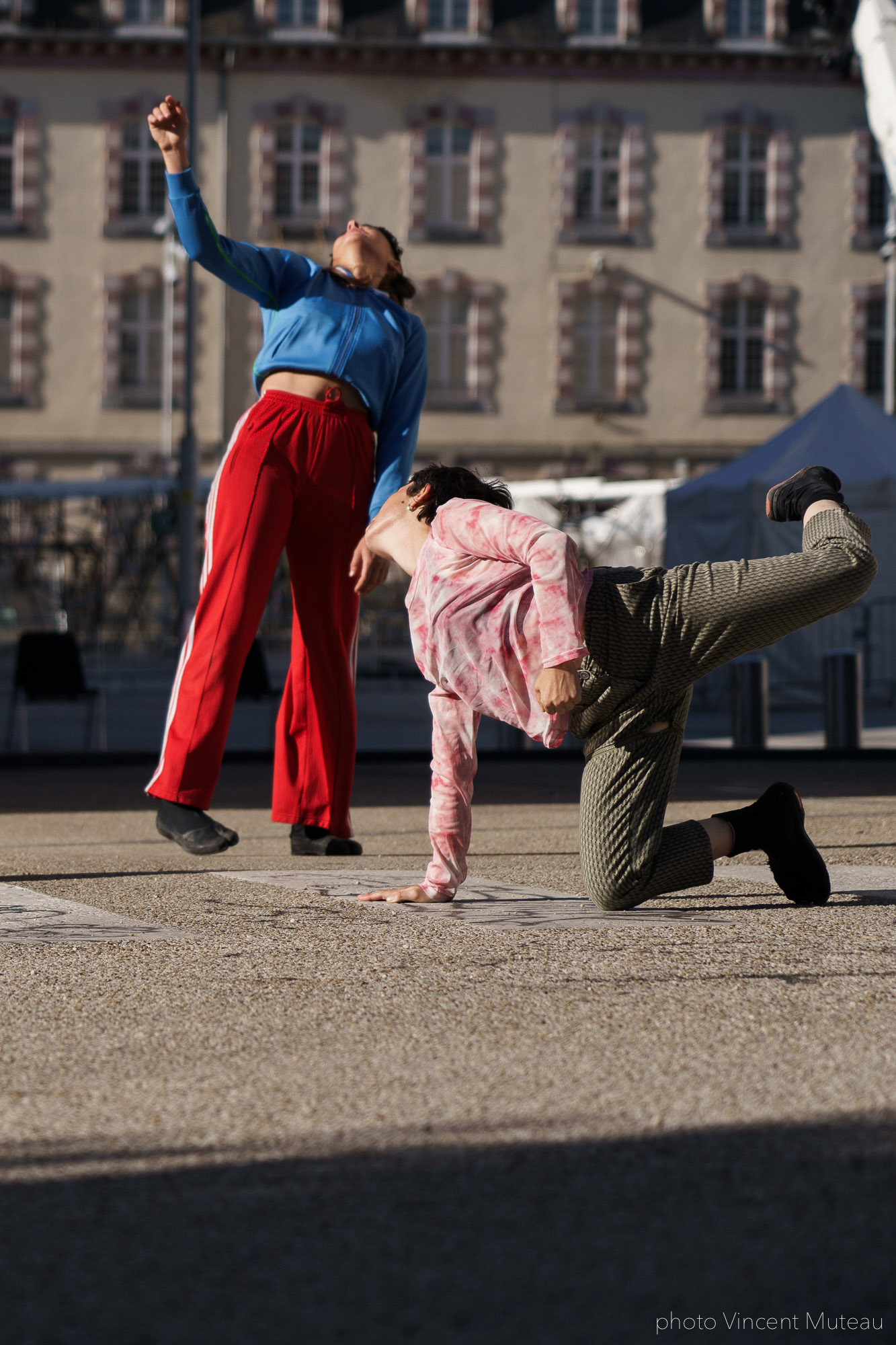 JEANNE SIMONE_Animal travail