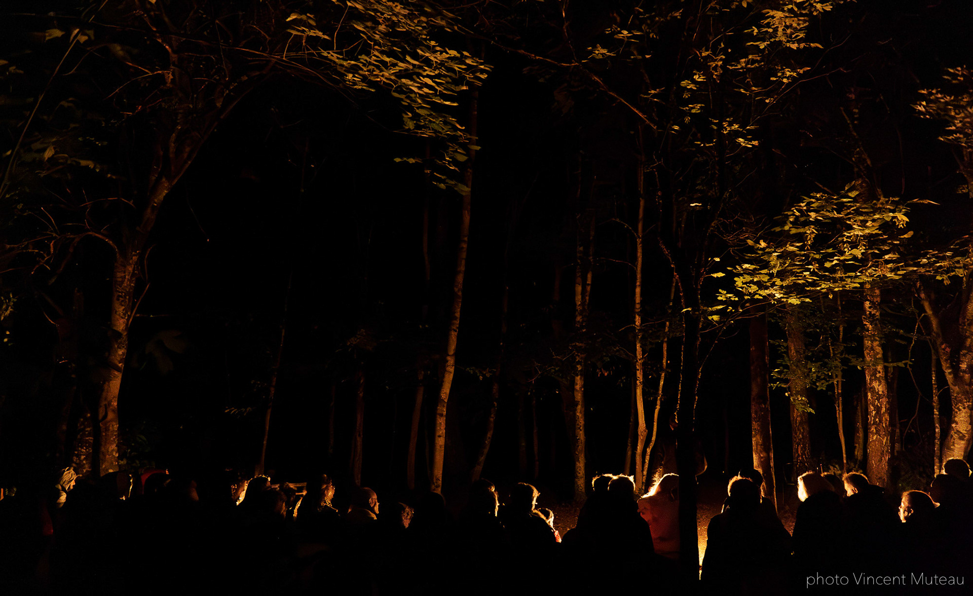 Les Arts Oseurs_Croire aux fauves