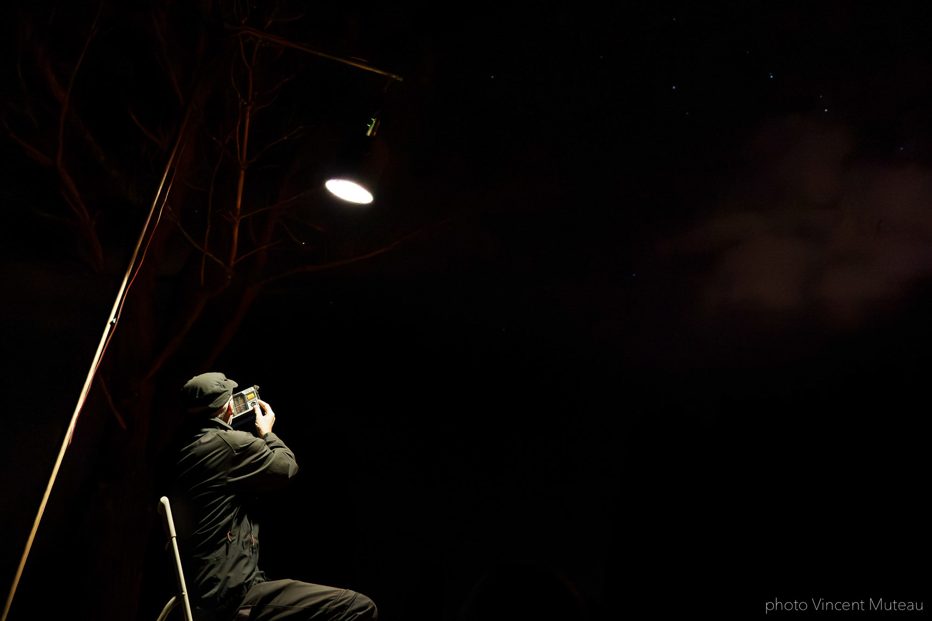 Les Arts Oseurs_Croire aux fauves