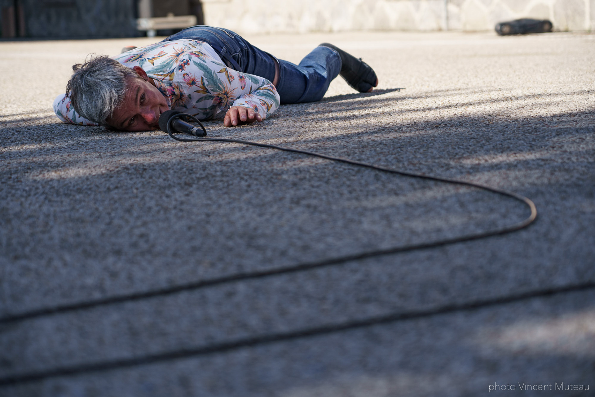 JEANNE SIMONE_Animal travail