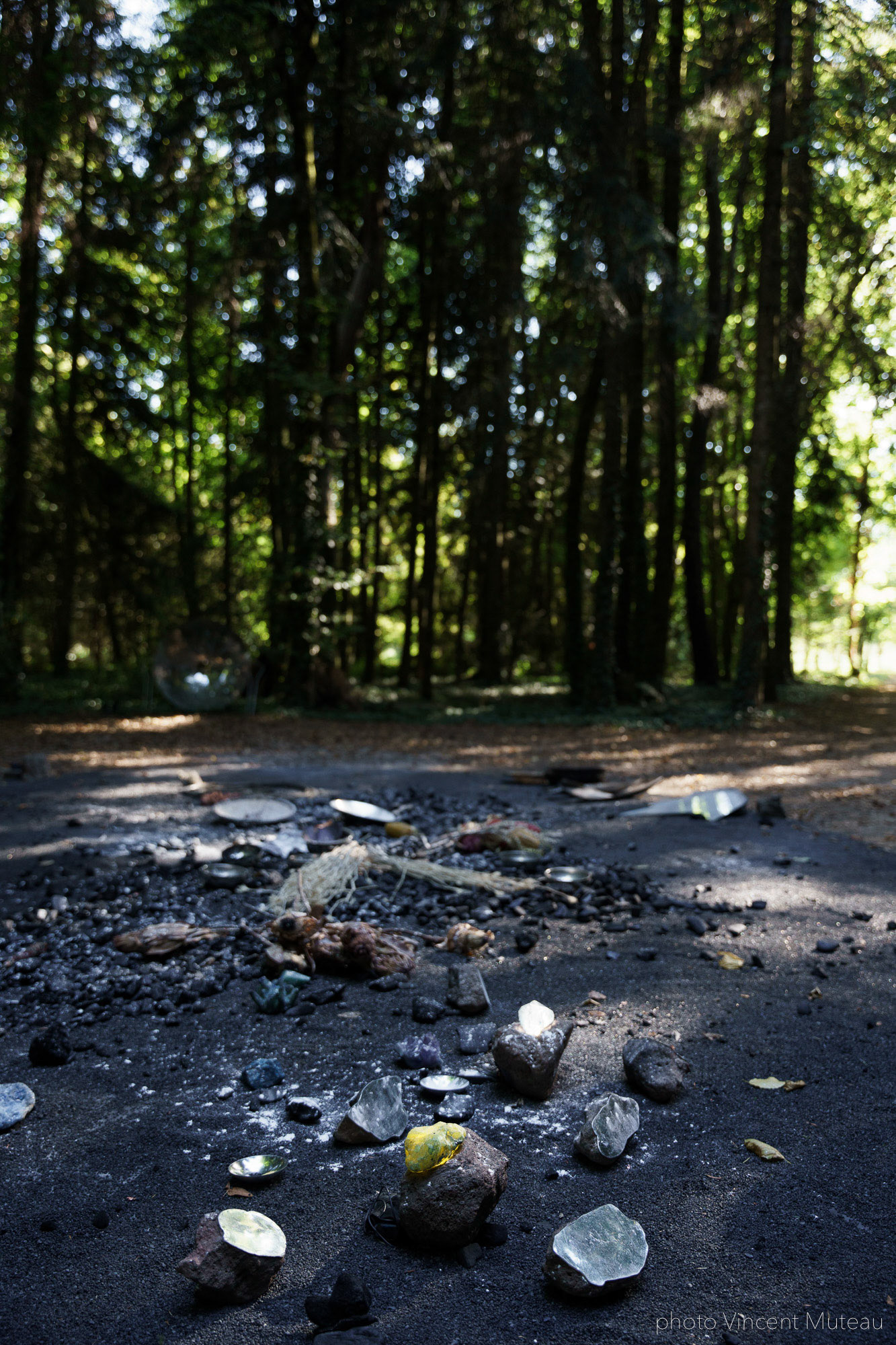 Vânia Vaneau Arrangement Provisoire_Nebula