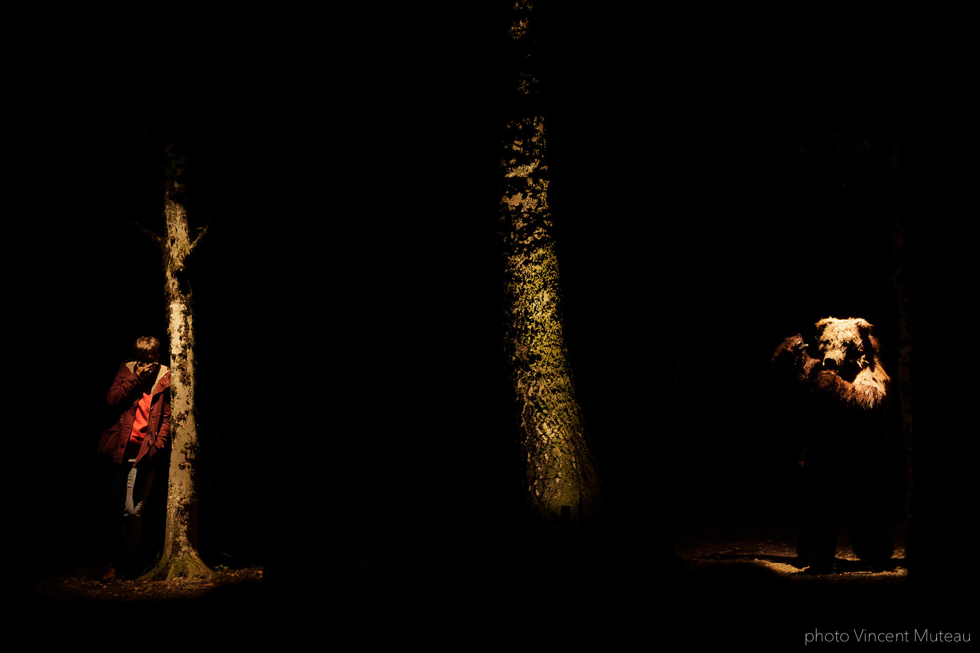 Les Arts Oseurs_Croire aux fauves