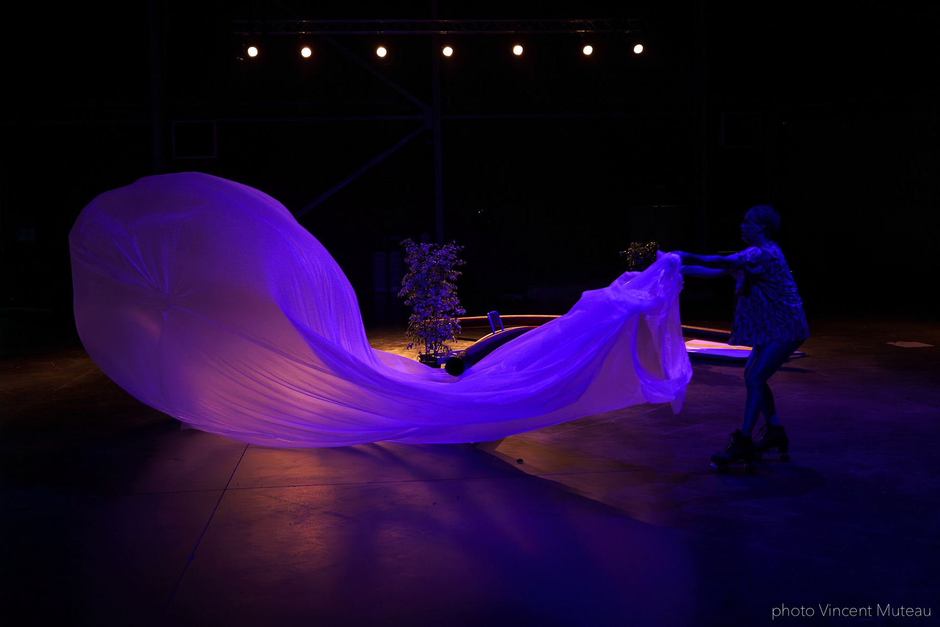 Renato Linhares Má-Criação_SHAMPOO