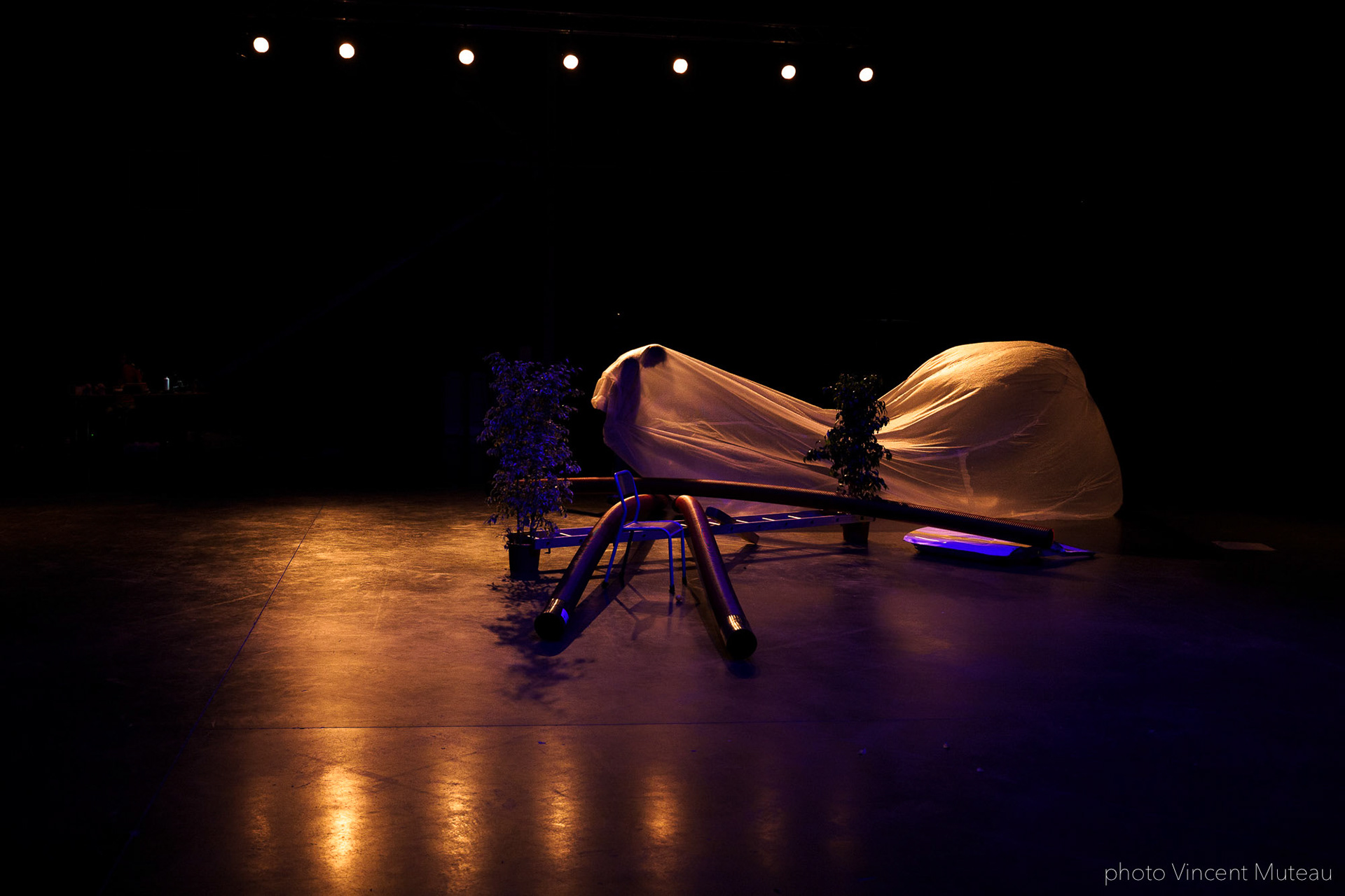 Renato Linhares Má-Criação_SHAMPOO