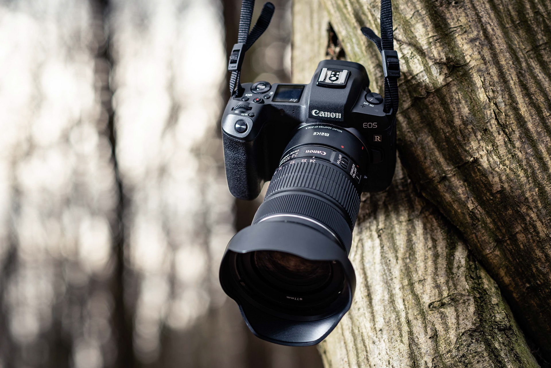 Eine Canon EOS Kamera mit einem großen Objektiv ist an einem Baum befestigt. Der Hintergrund ist unscharf und zeigt einen Wald.