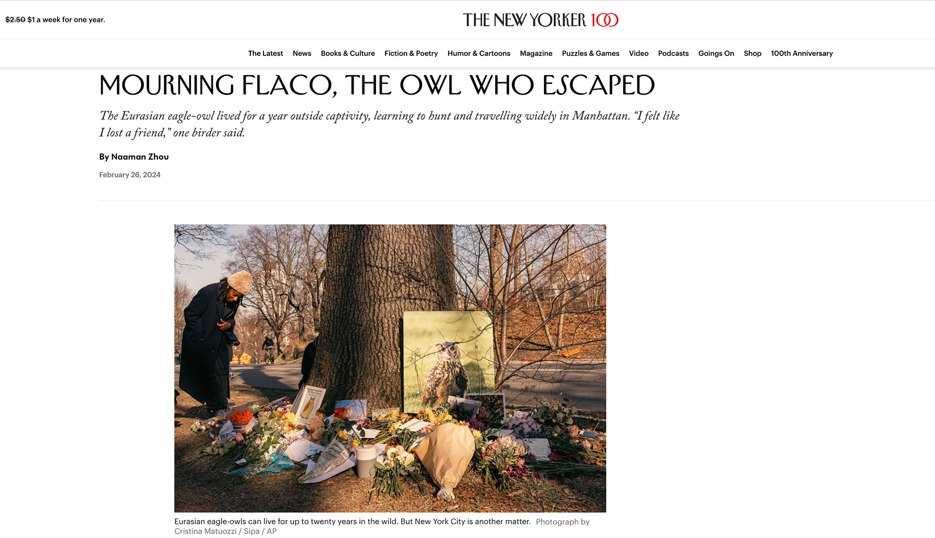 https://www.newyorker.com/news/our-local-correspondents/mourning-flaco-the-owl-who-escaped