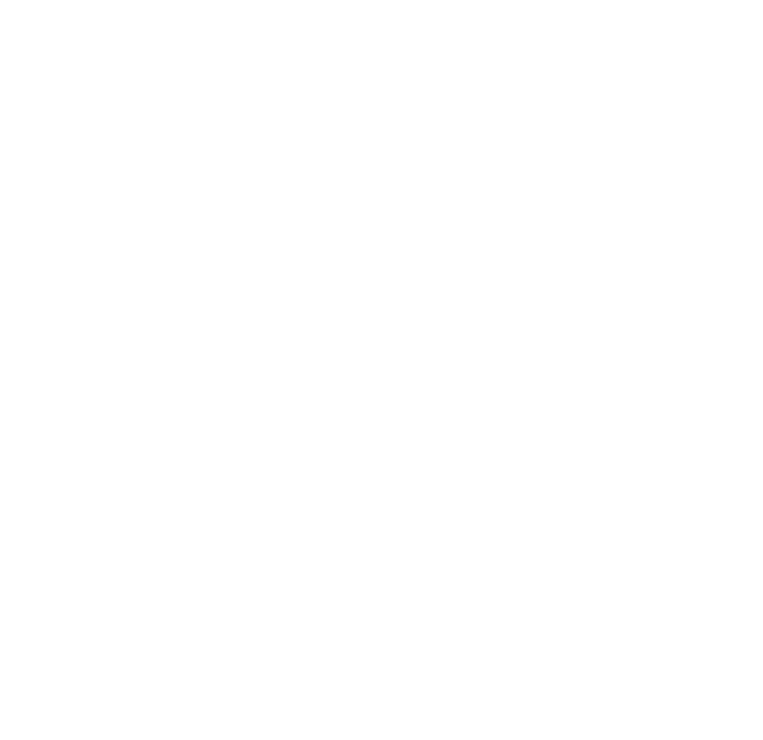 Bottom's Up Guitars emblem (Logo mark) is the registered trademark of our company "inova Co., Ltrd."