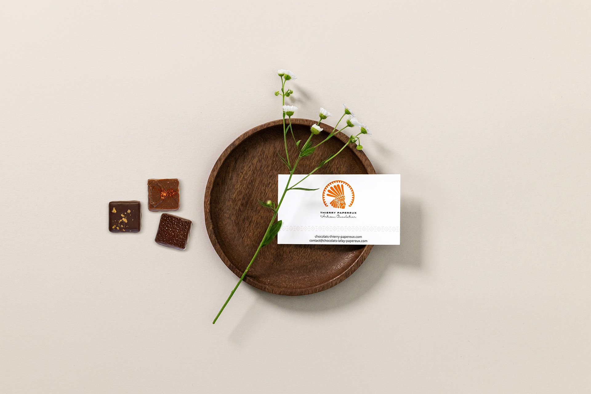 logo Thierry Papereux, chocolatier Montpellier, carte de visite