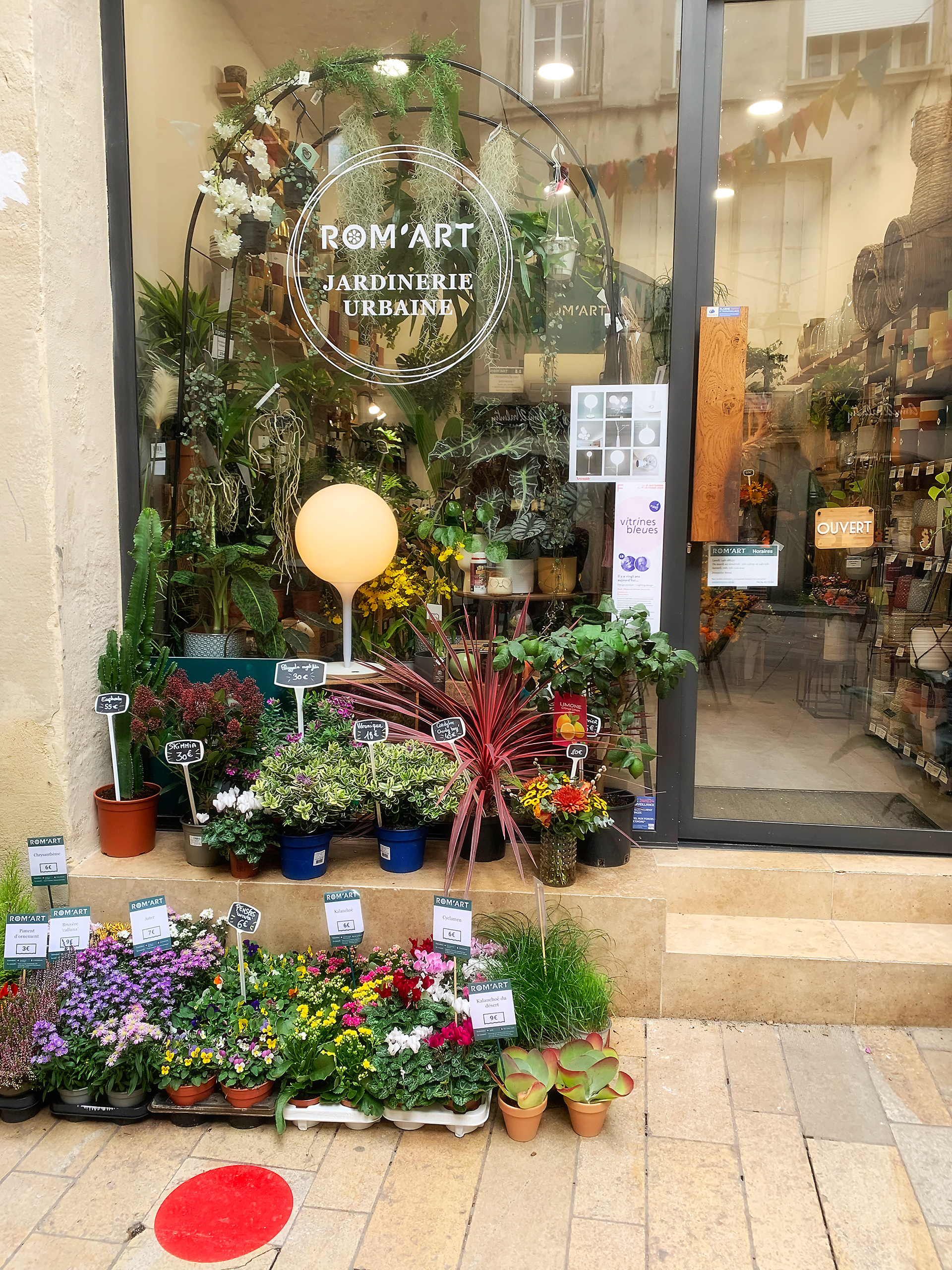 Indigo d'Oc, Vitrines Bleues, habillage vitrine