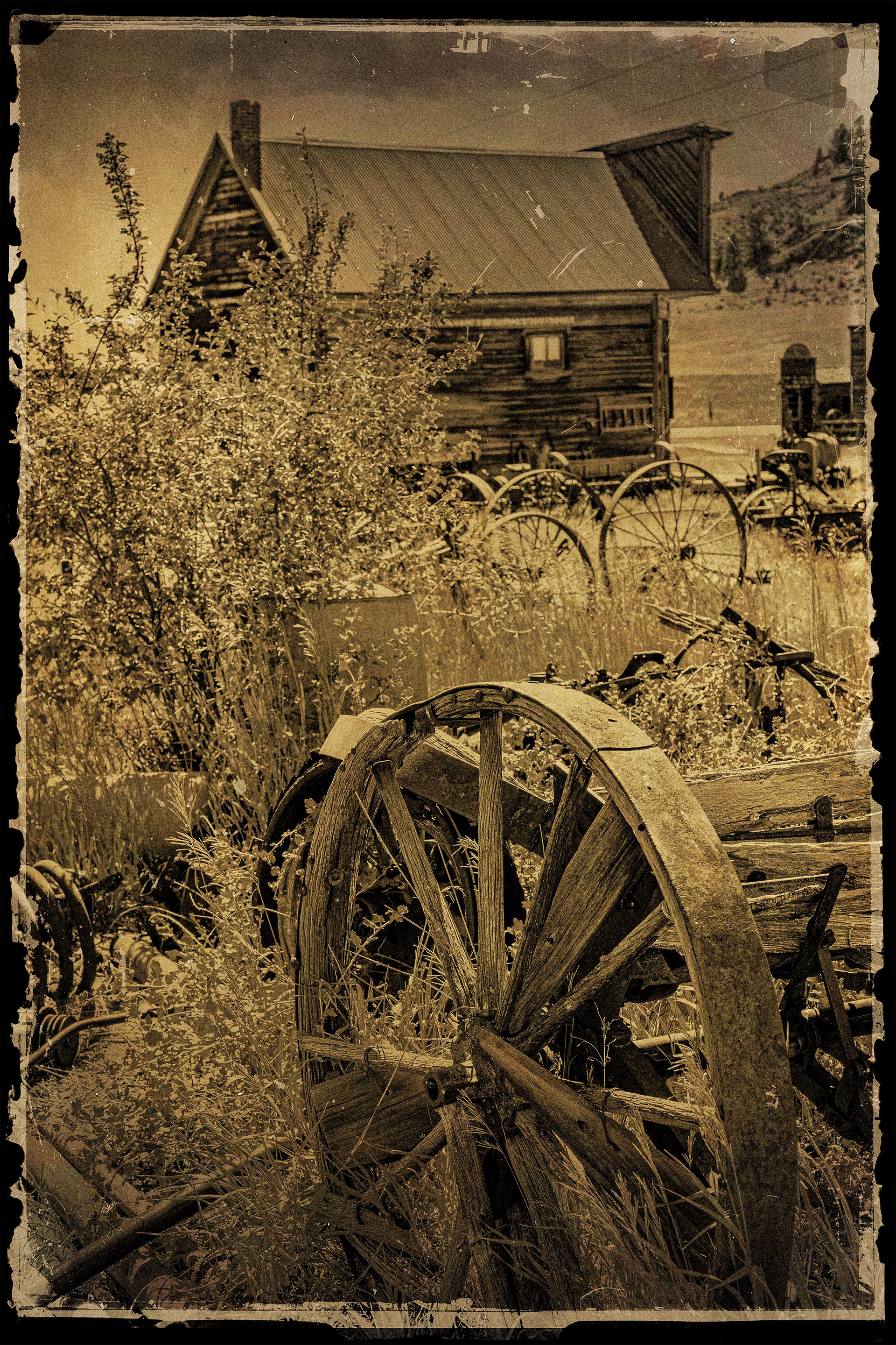 Photograph of old, weathered cabin and wagon wheel taken in Molson Washington. 