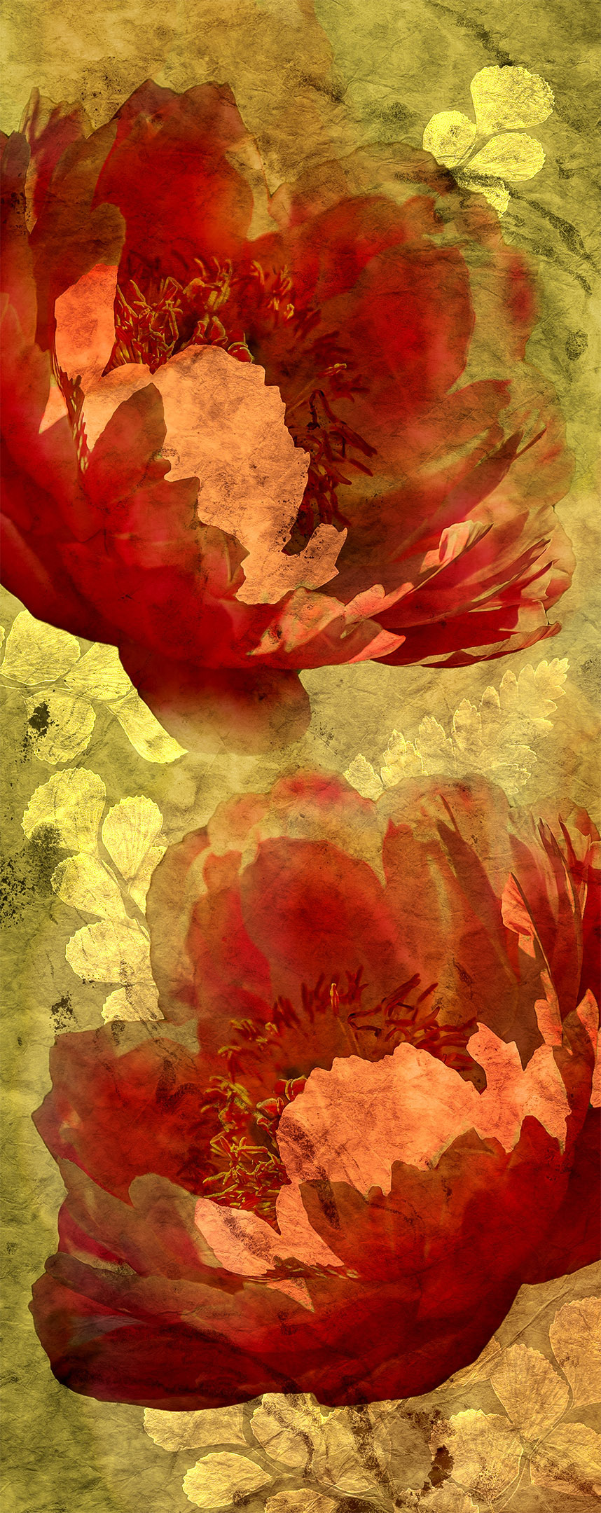 Photo composite of two bright red peonies arranged facing each other over a yellow ochre colored background.
