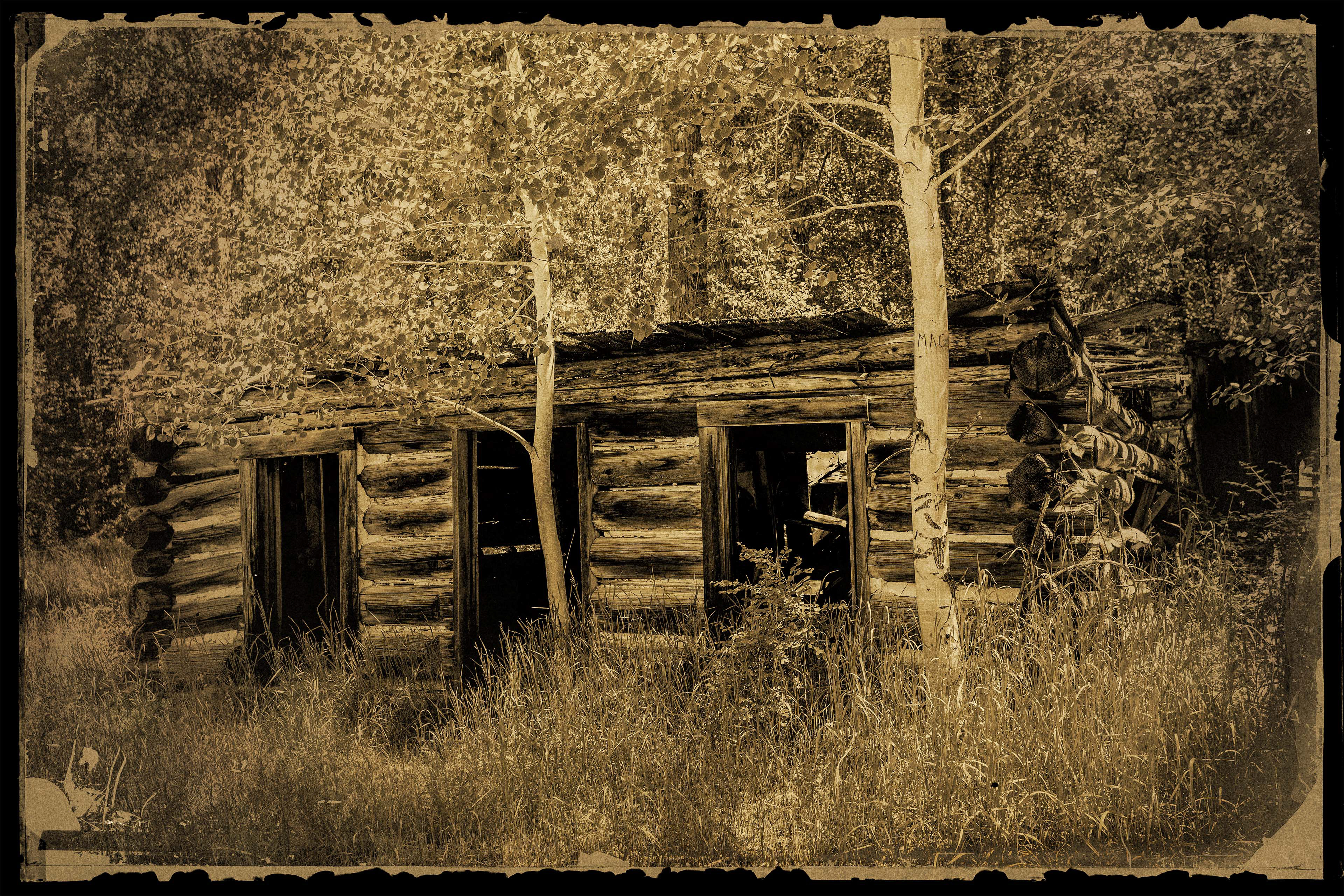Photograph of old log cabin taken in Bodie Washington. 