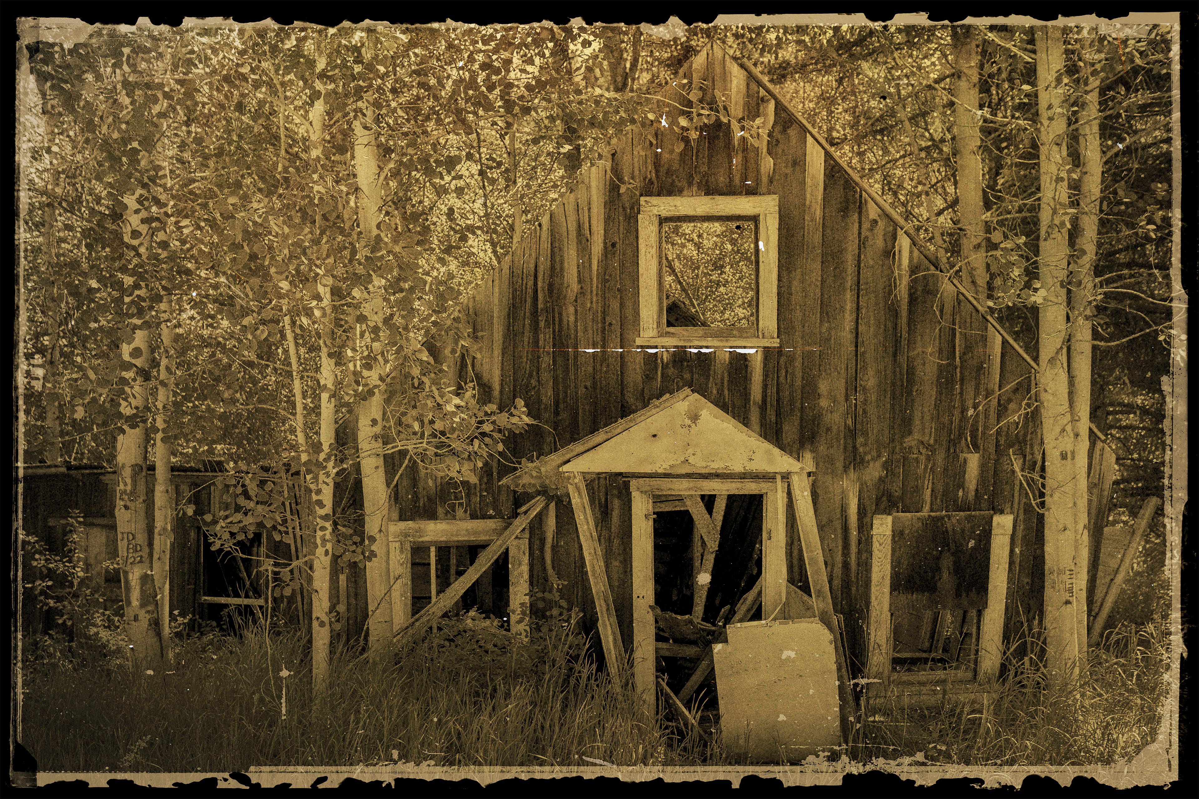 Photograph of old, collapsed homestead taken in Bodie Washington. 