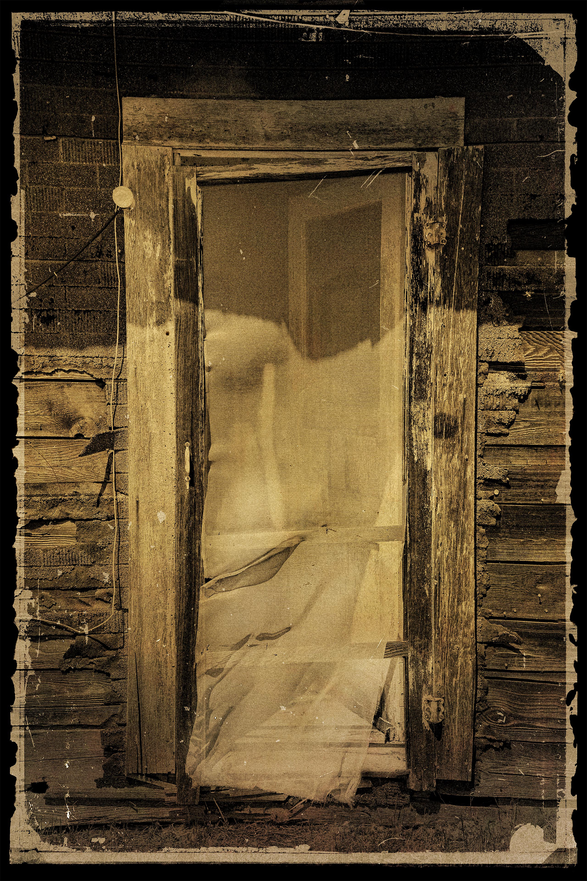 Photograph of old, weathered screen door taken in Bodie Washington. 