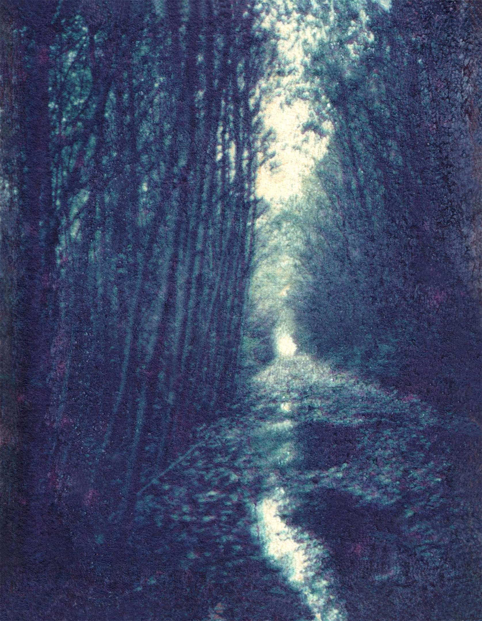 Polaroid transfer of sunlight shining through trees lining the banks of a rural creek.