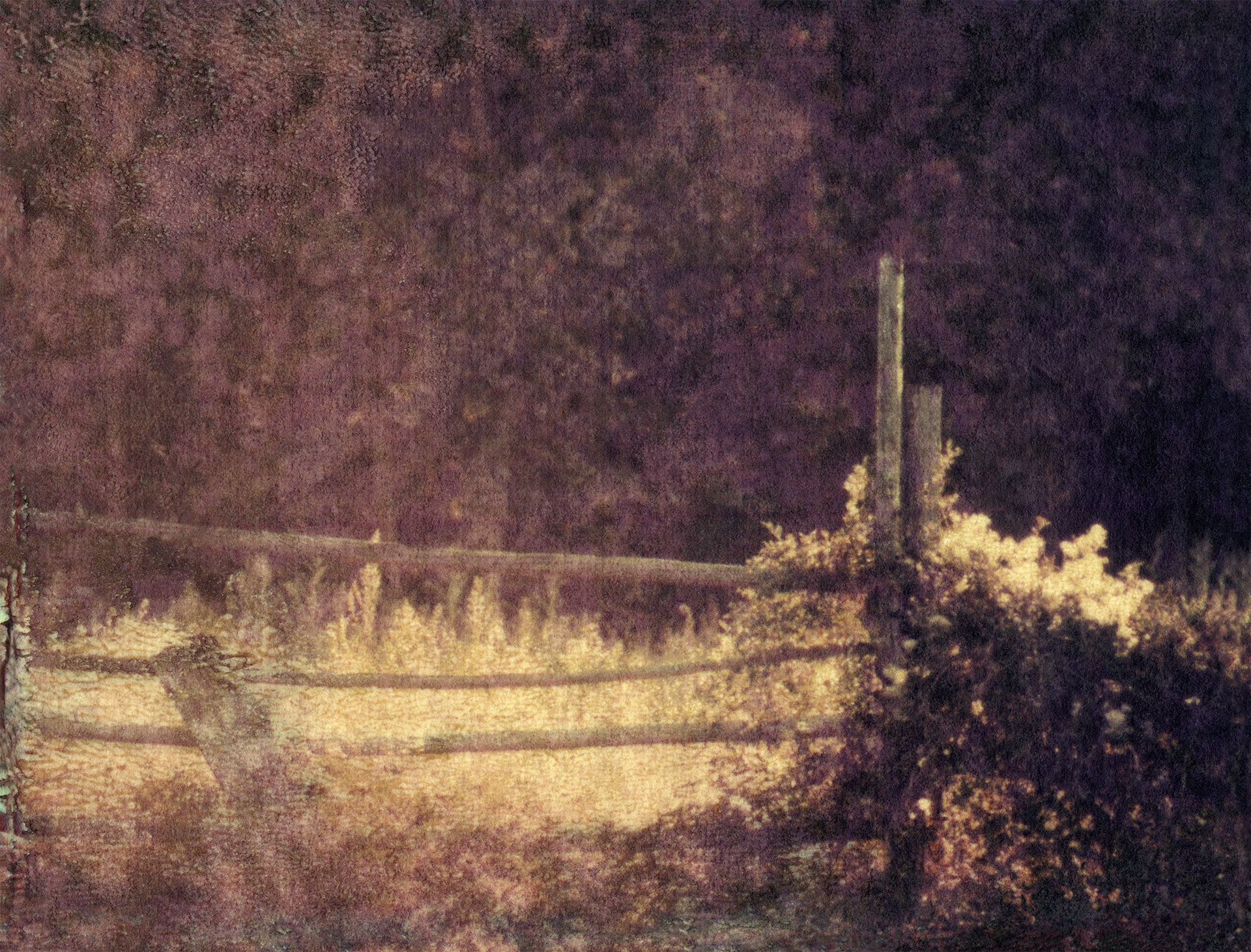 Polaroid transfer of late afternoon light falling on an old fence in a field of gold colored summer grass.