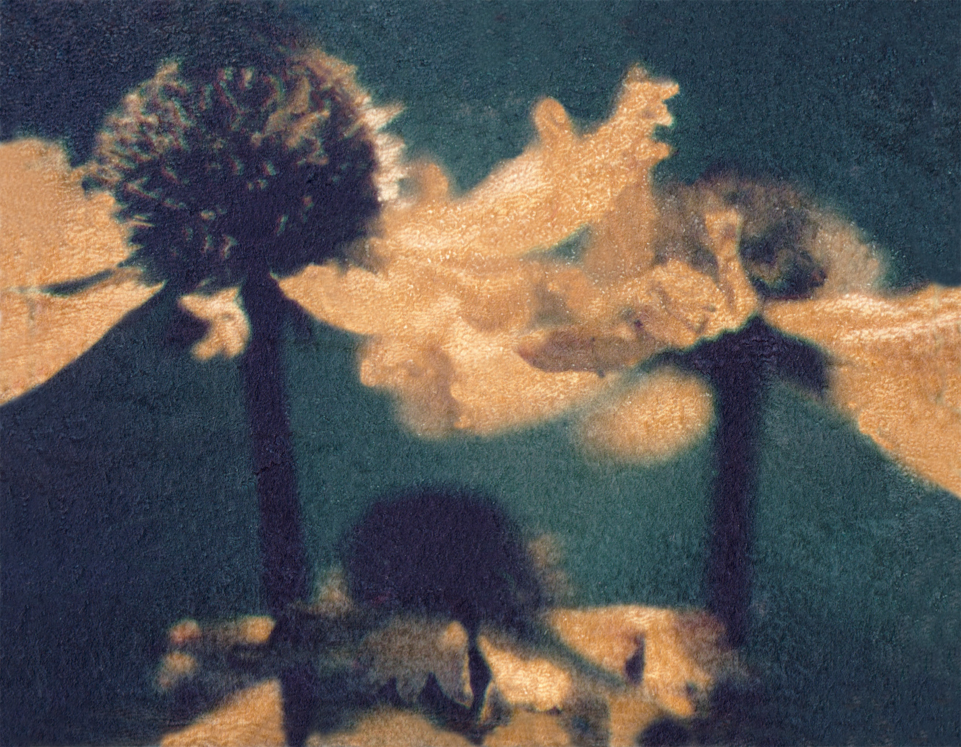 Polaroid transfer of sunlight falling on a pair of Dogwood flowers.