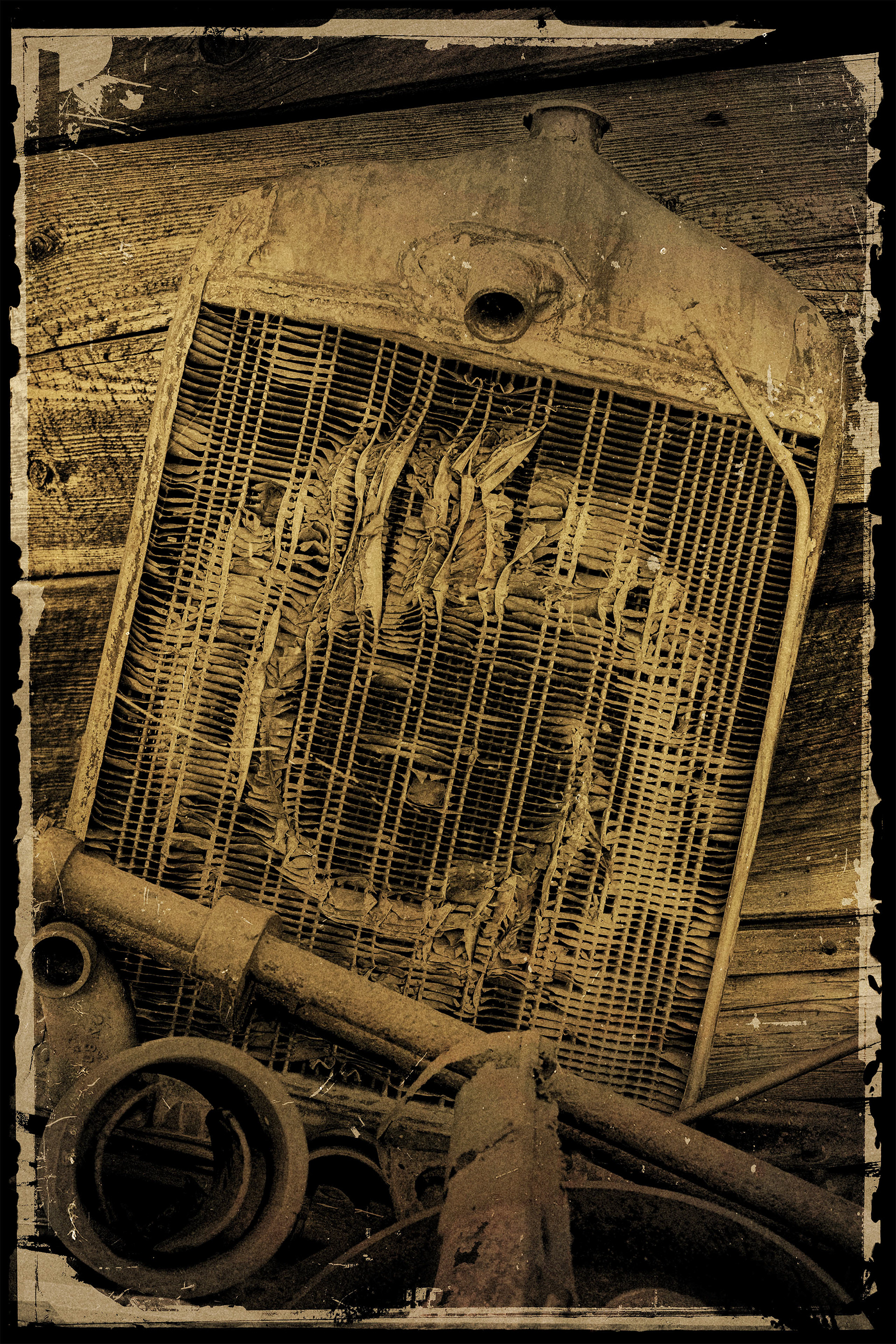 Photograph of antique car radiator taken in Molson Washington