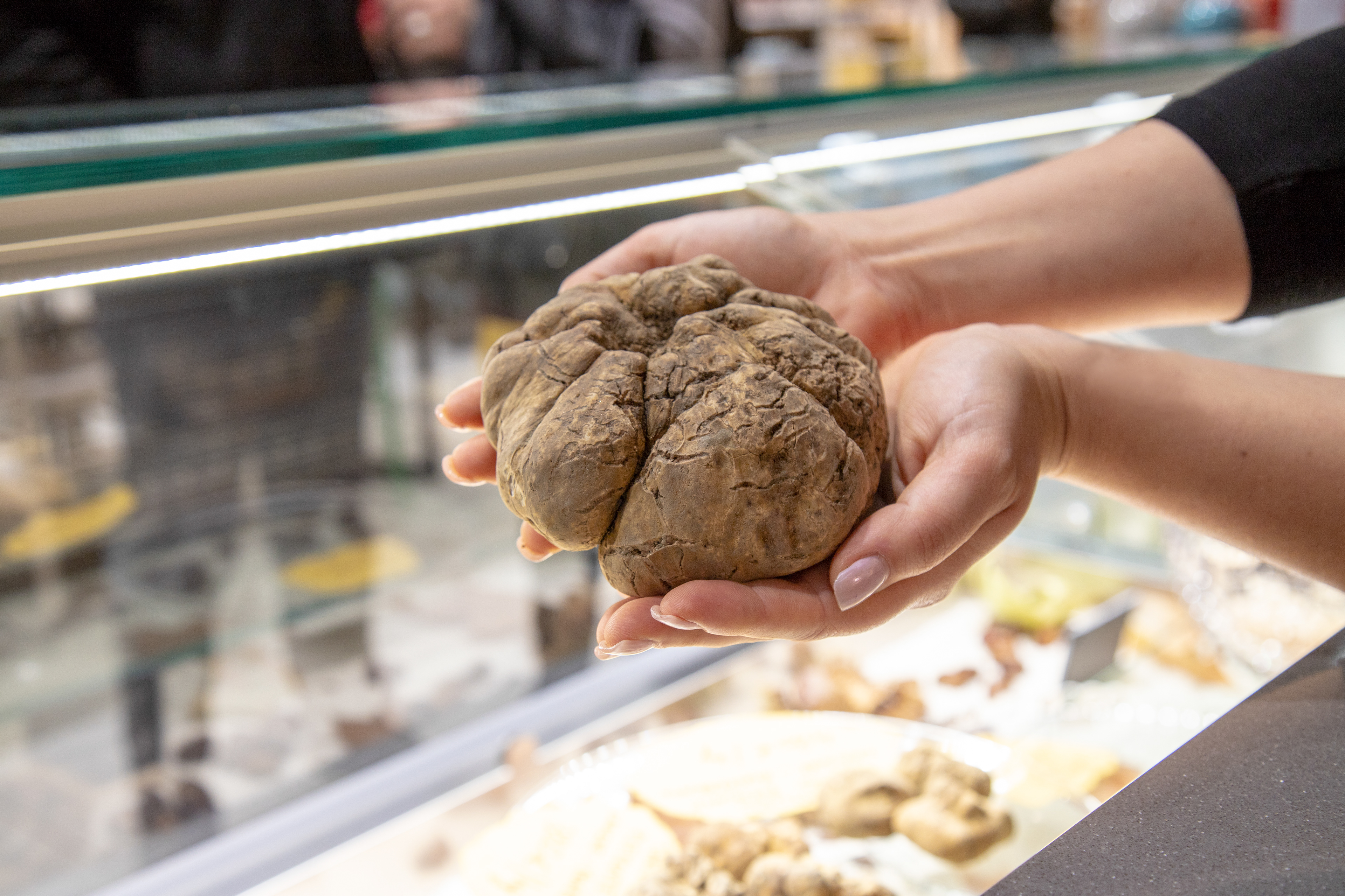 truffle-tartufo